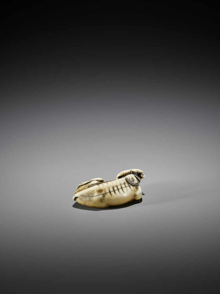 TOMOTADA: AN IVORY NETSUKE OF A RECUMBENT OX - Image 6 of 10