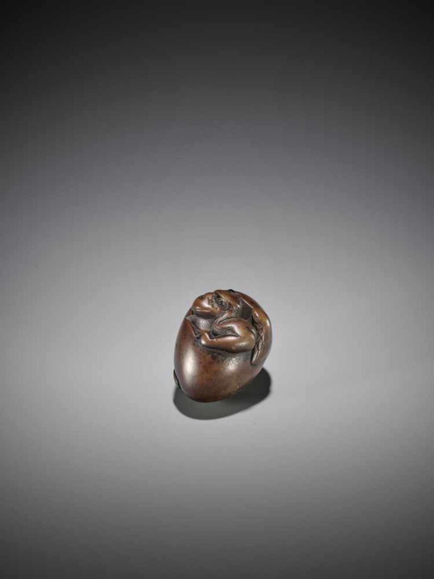 AN UNUSUAL WOOD NETSUKE OF A HATCHING TENGU - Bild 4 aus 8