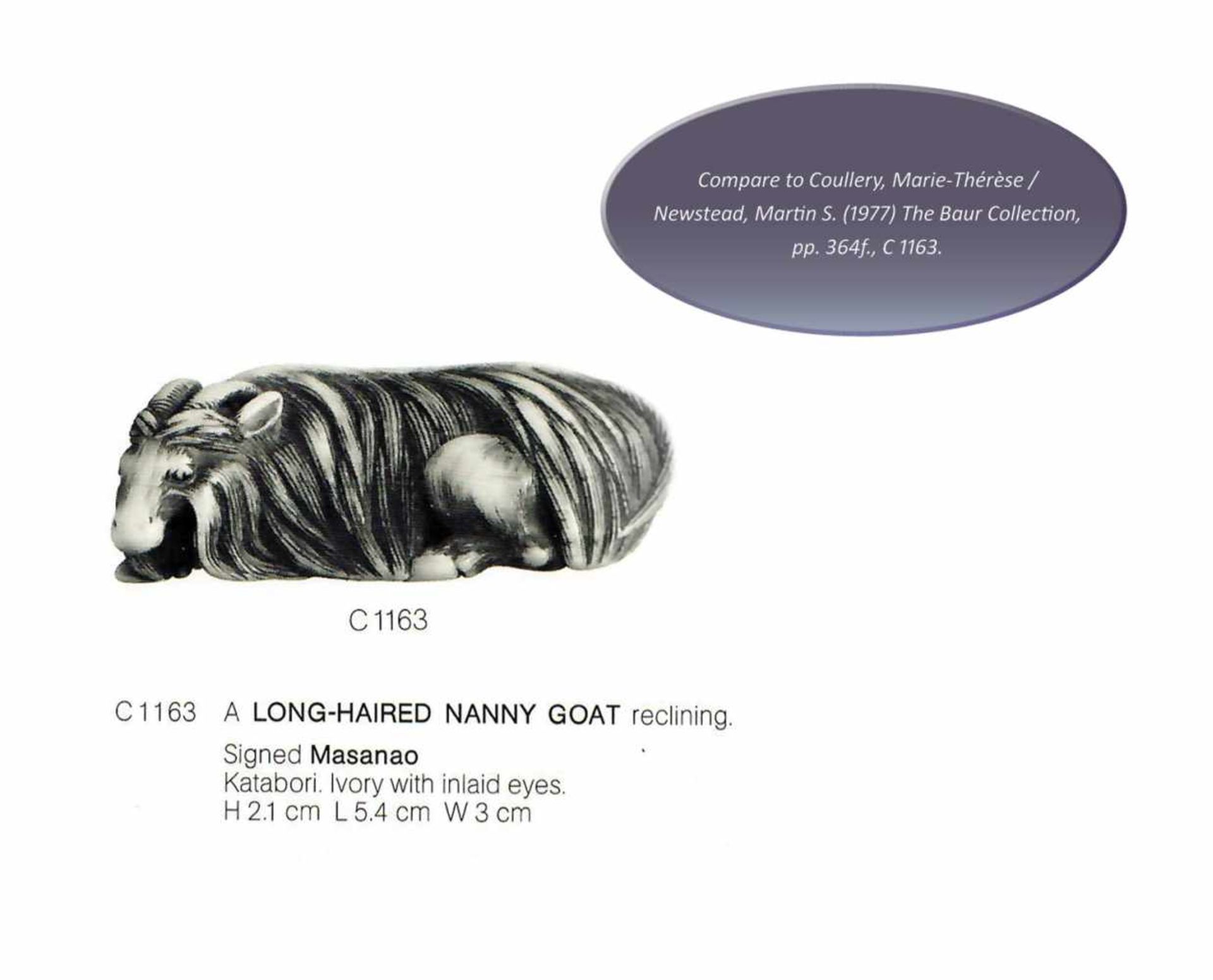 MASANAO (ATTR.): A SUPERB IVORY NETSUKE OF A RECUMBENT GOAT - Bild 12 aus 13