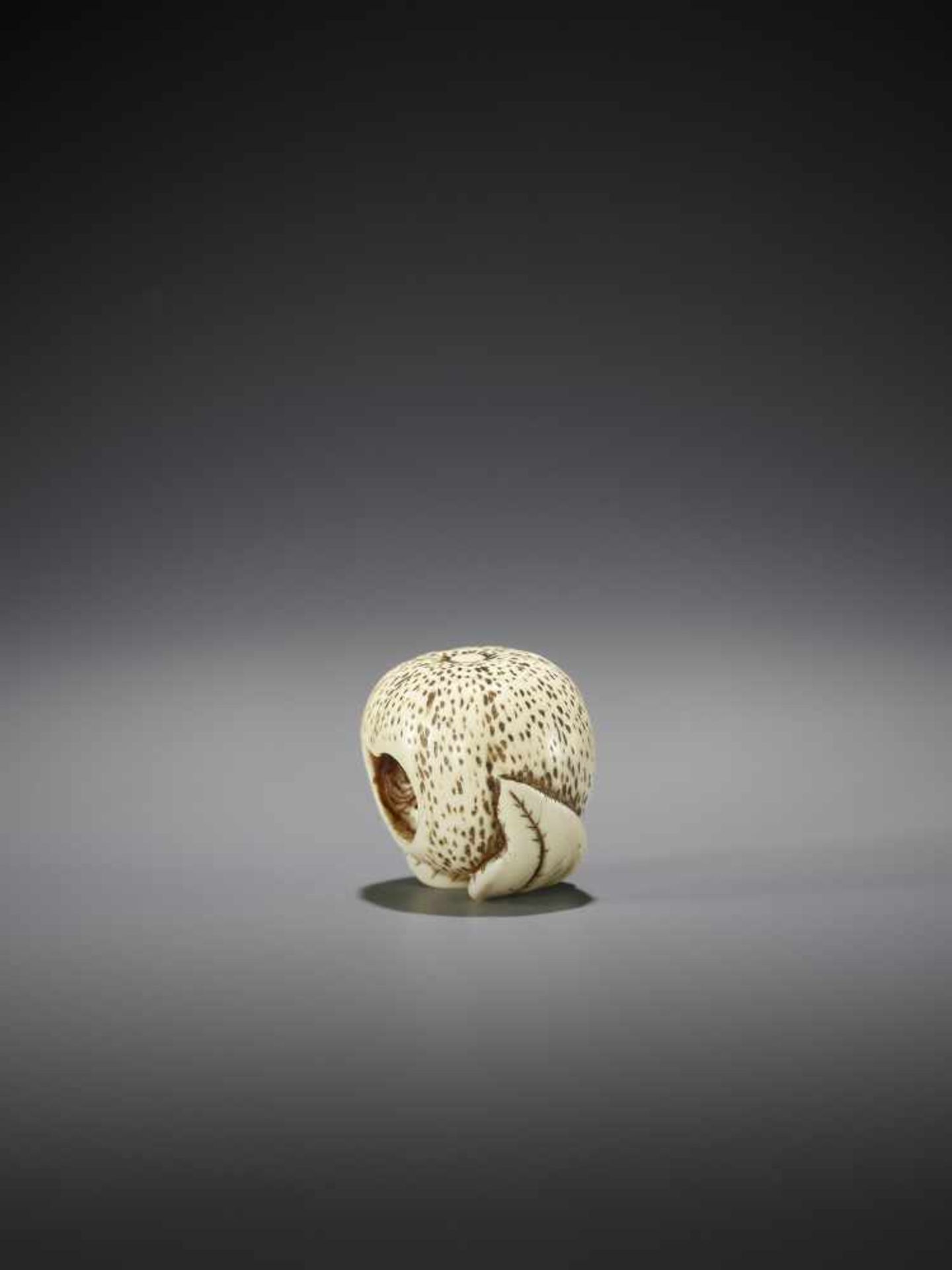 AN IVORY NETSUKE OF TWO SAGES INSIDE A MIKAN - Image 5 of 7