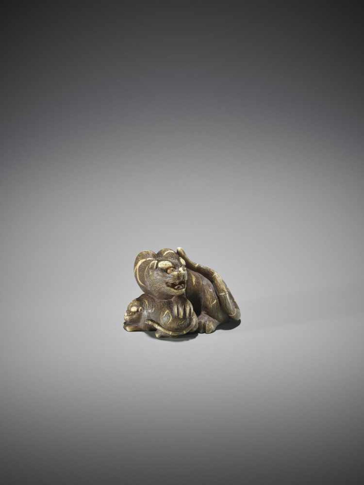 UNSHO HAKURYU II: A SUPERB IVORY NETSUKE OF A TIGER WITH CUB