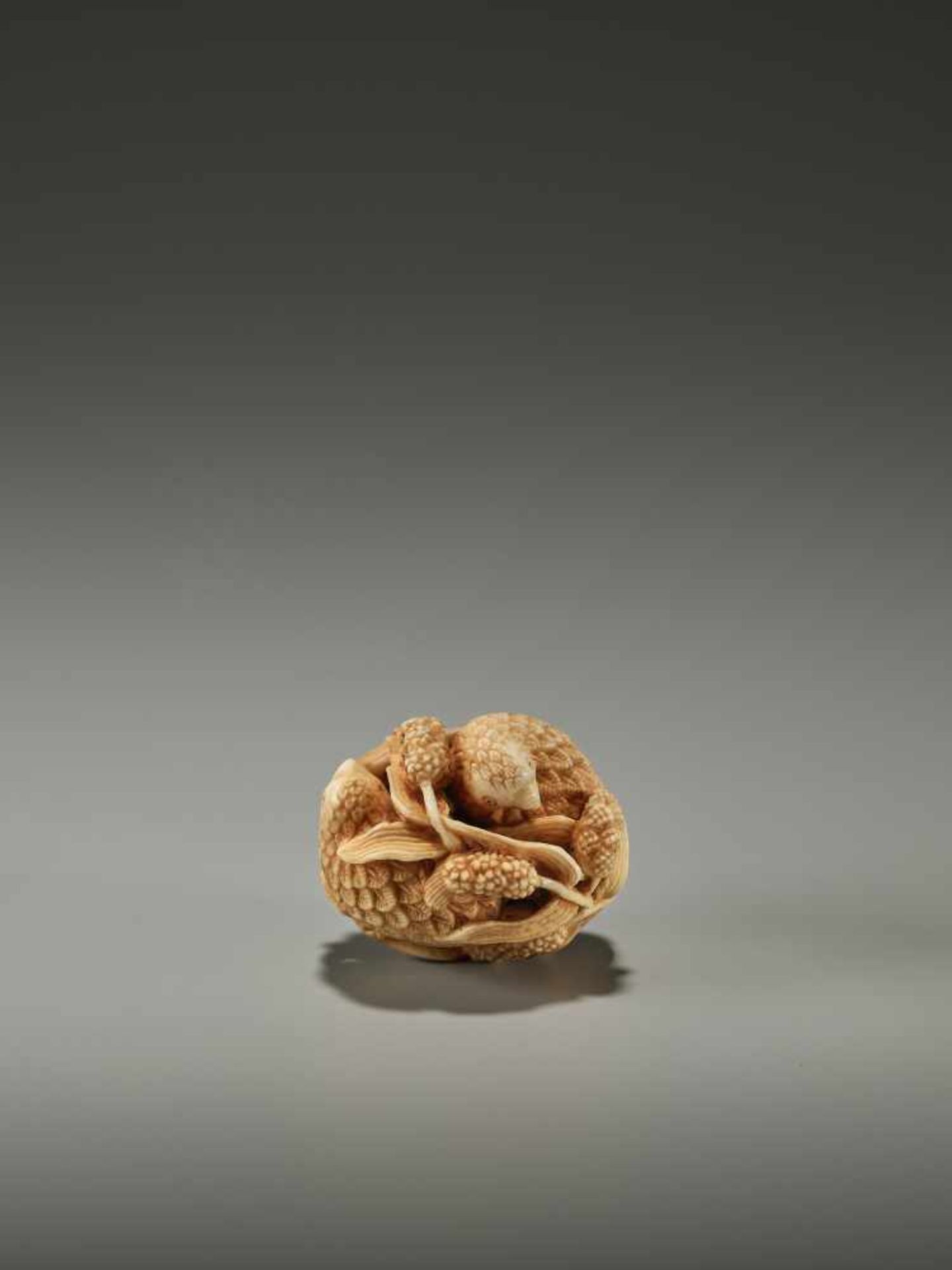 KAGETOSHI: AN IVORY NETSUKE OF TWO QUAILS - Image 7 of 12