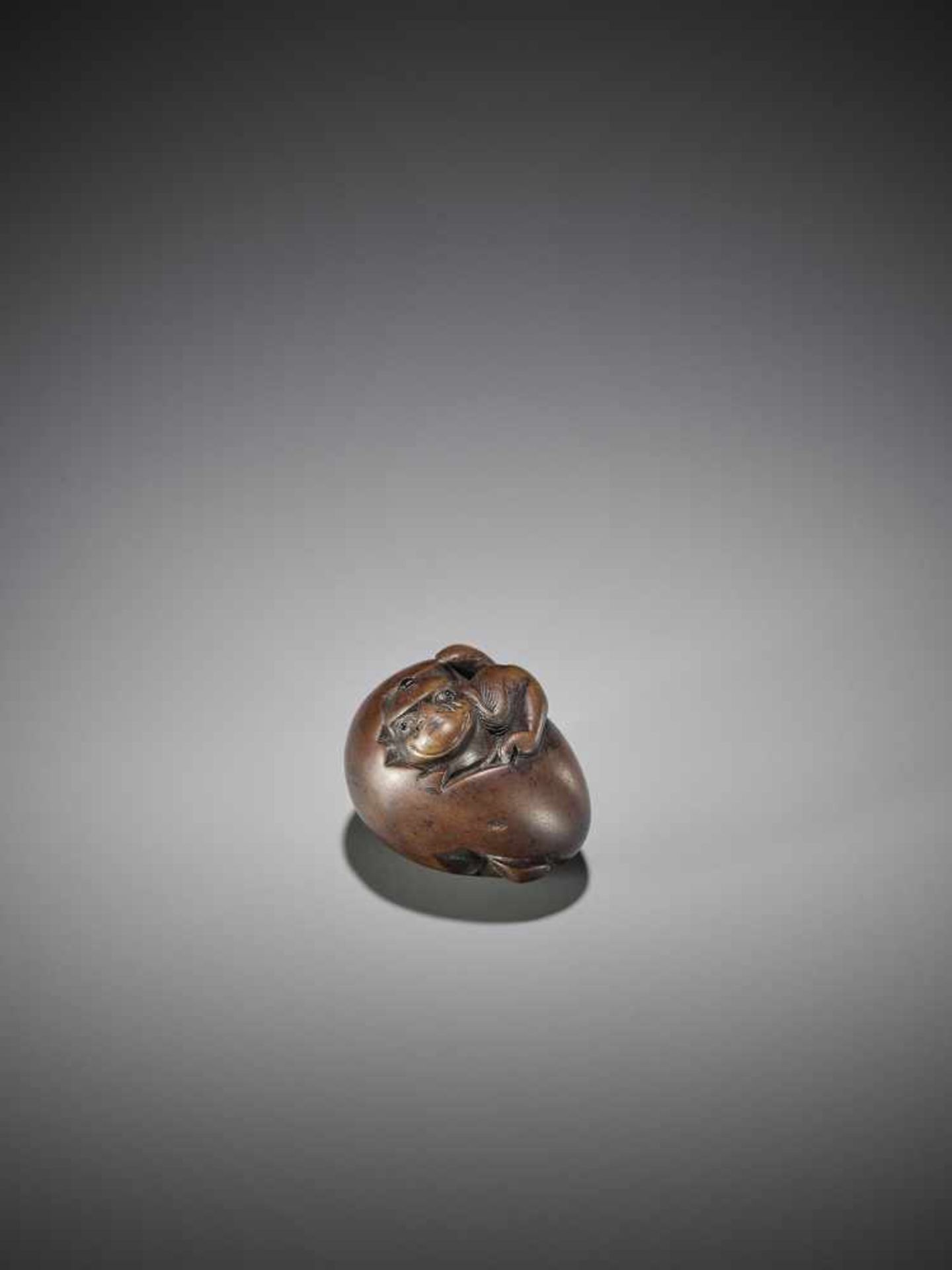 AN UNUSUAL WOOD NETSUKE OF A HATCHING TENGU