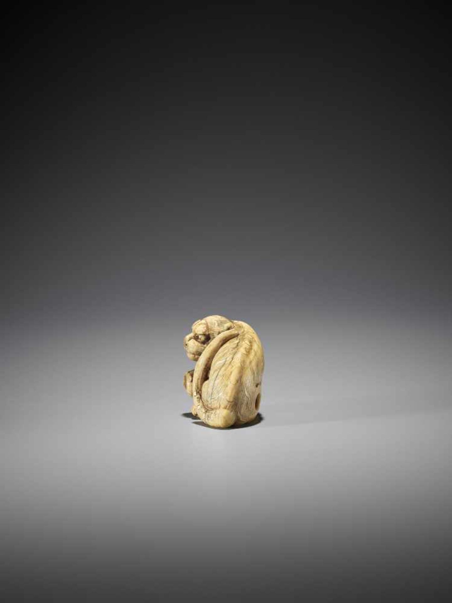 TOMOTADA: AN IVORY NETSUKE OF A TIGER AND CUB - Image 6 of 12