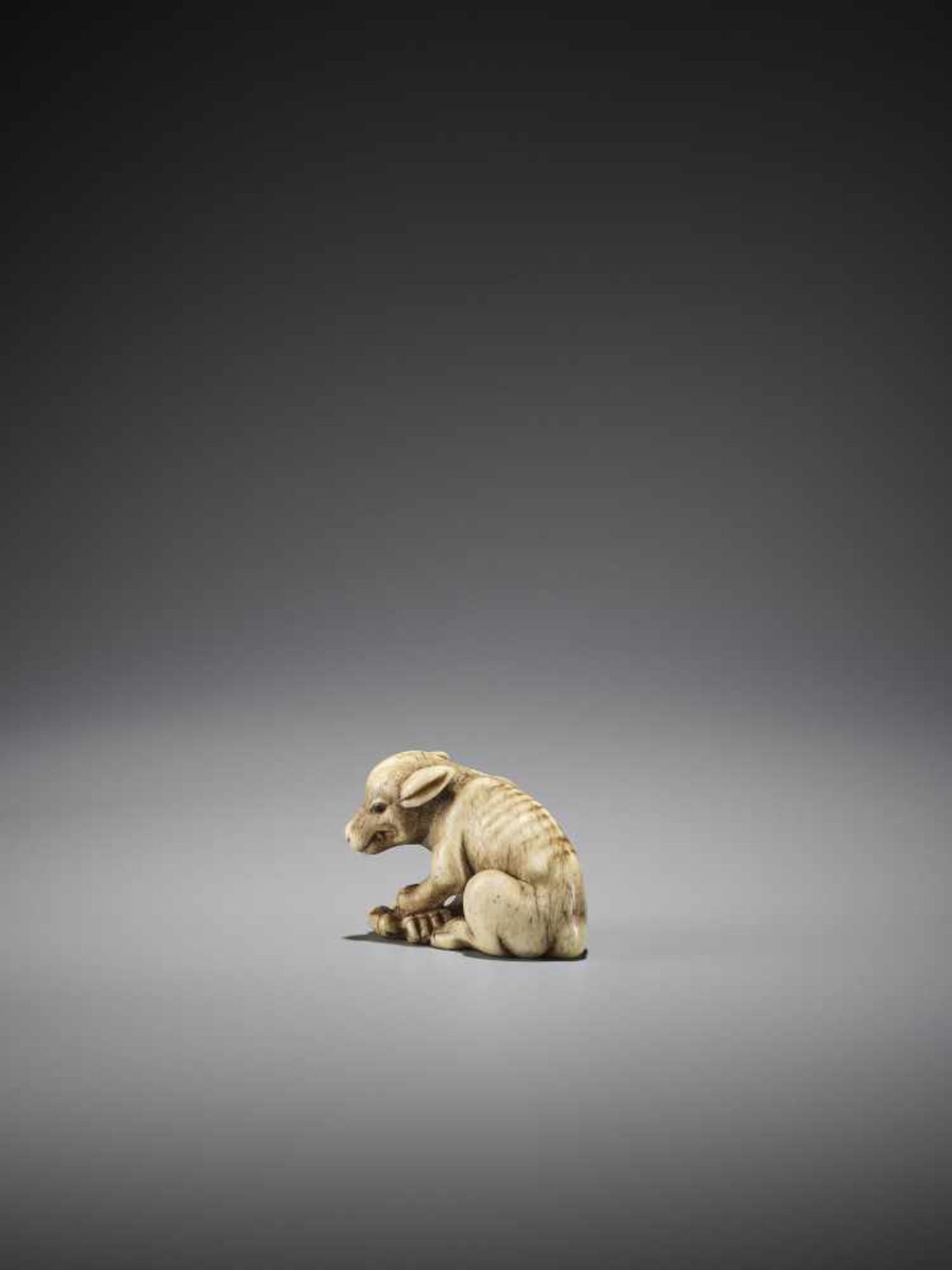 AN EXCELLENT AND RARE BONE NETSUKE OF A WOLF WITH CRAB - Image 6 of 13