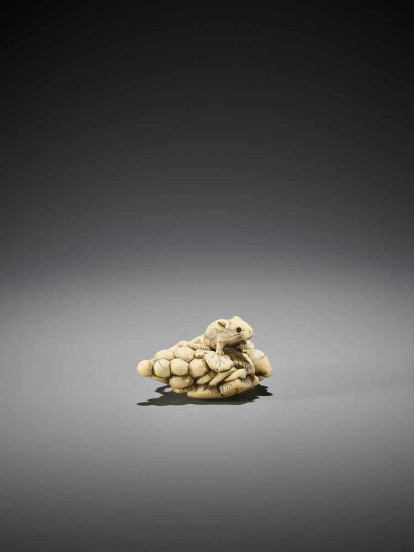 AN IVORY NETSUKE OF A SQUIRELL AND GRAPES - Image 9 of 10