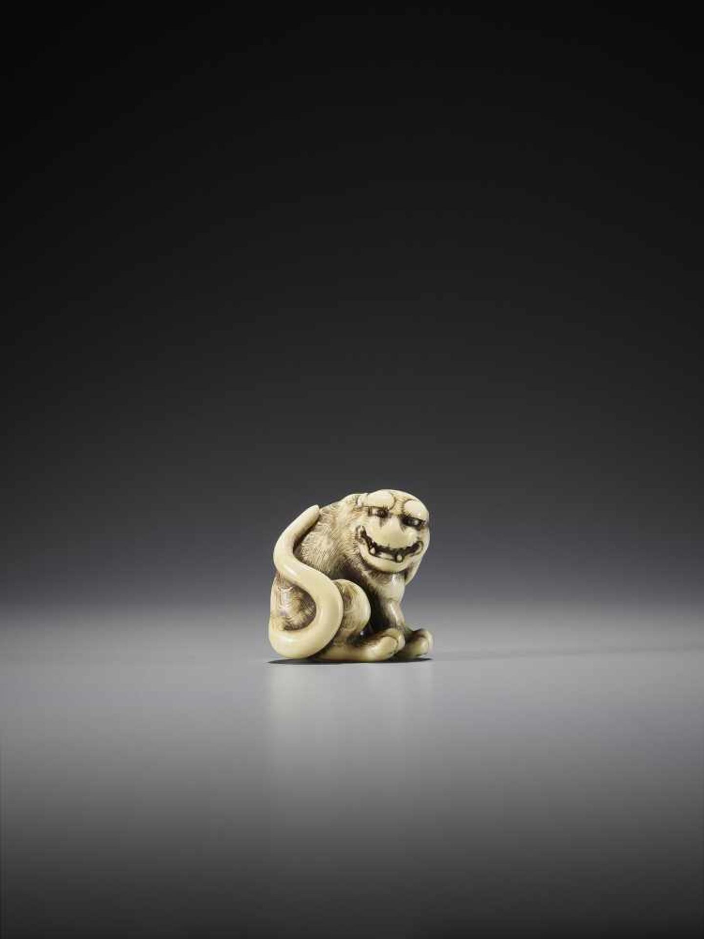 OKAKOTO: A SUPERB IVORY NETSUKE OF A TIGER