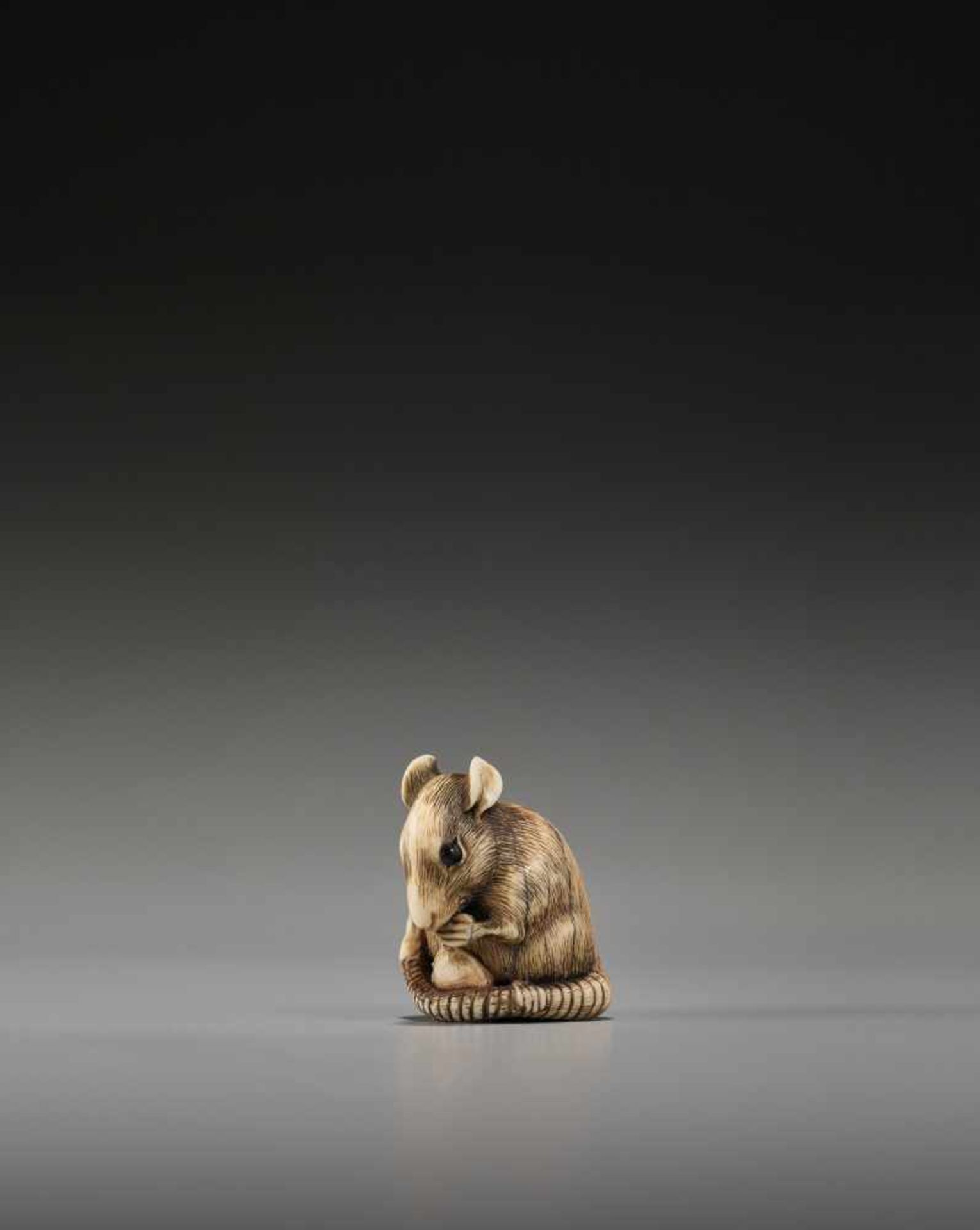 A POWERFUL KYOTO SCHOOL IVORY NETSUKE OF A RAT WITH A BEAN POD - Image 4 of 11