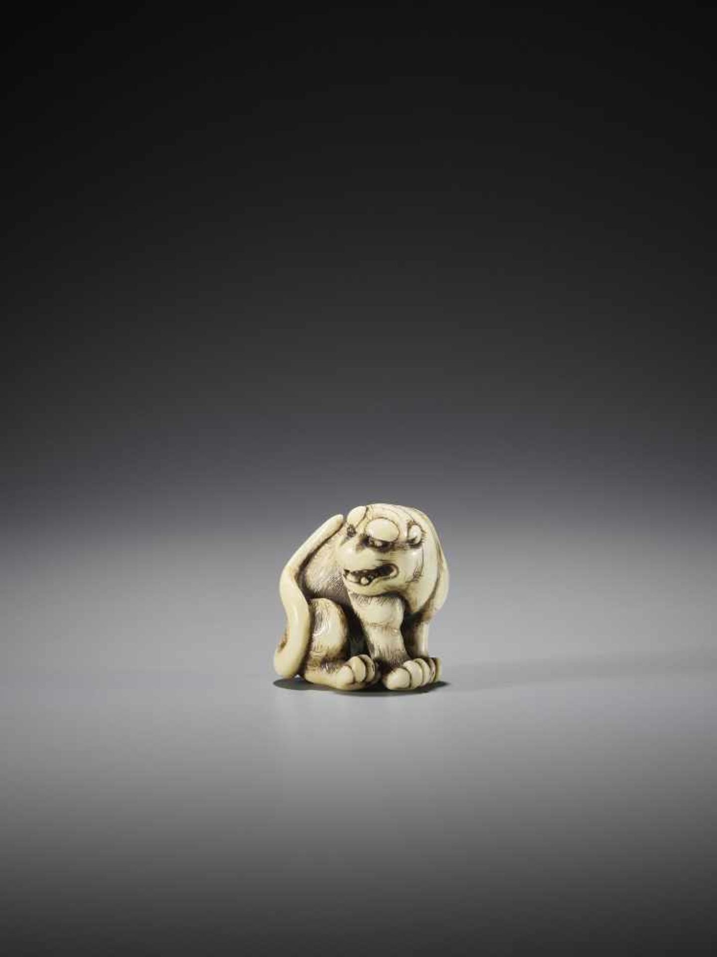 OKAKOTO: A SUPERB IVORY NETSUKE OF A TIGER - Image 7 of 12