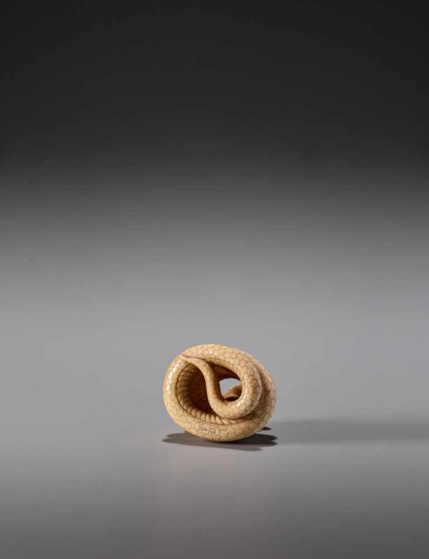 MASANAO: AN IVORY NETSUKE OF A COILED SNAKE - Image 9 of 10