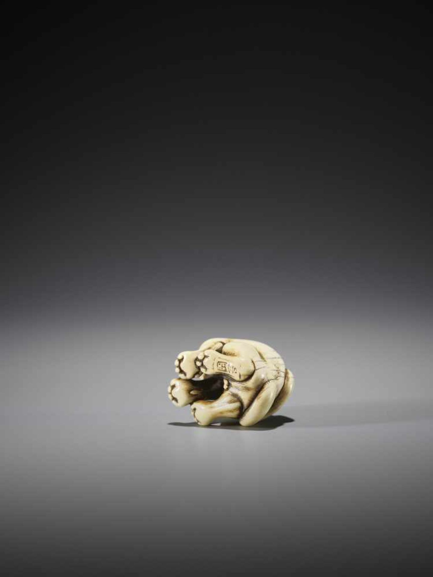 OKAKOTO: A SUPERB IVORY NETSUKE OF A TIGER - Image 10 of 12