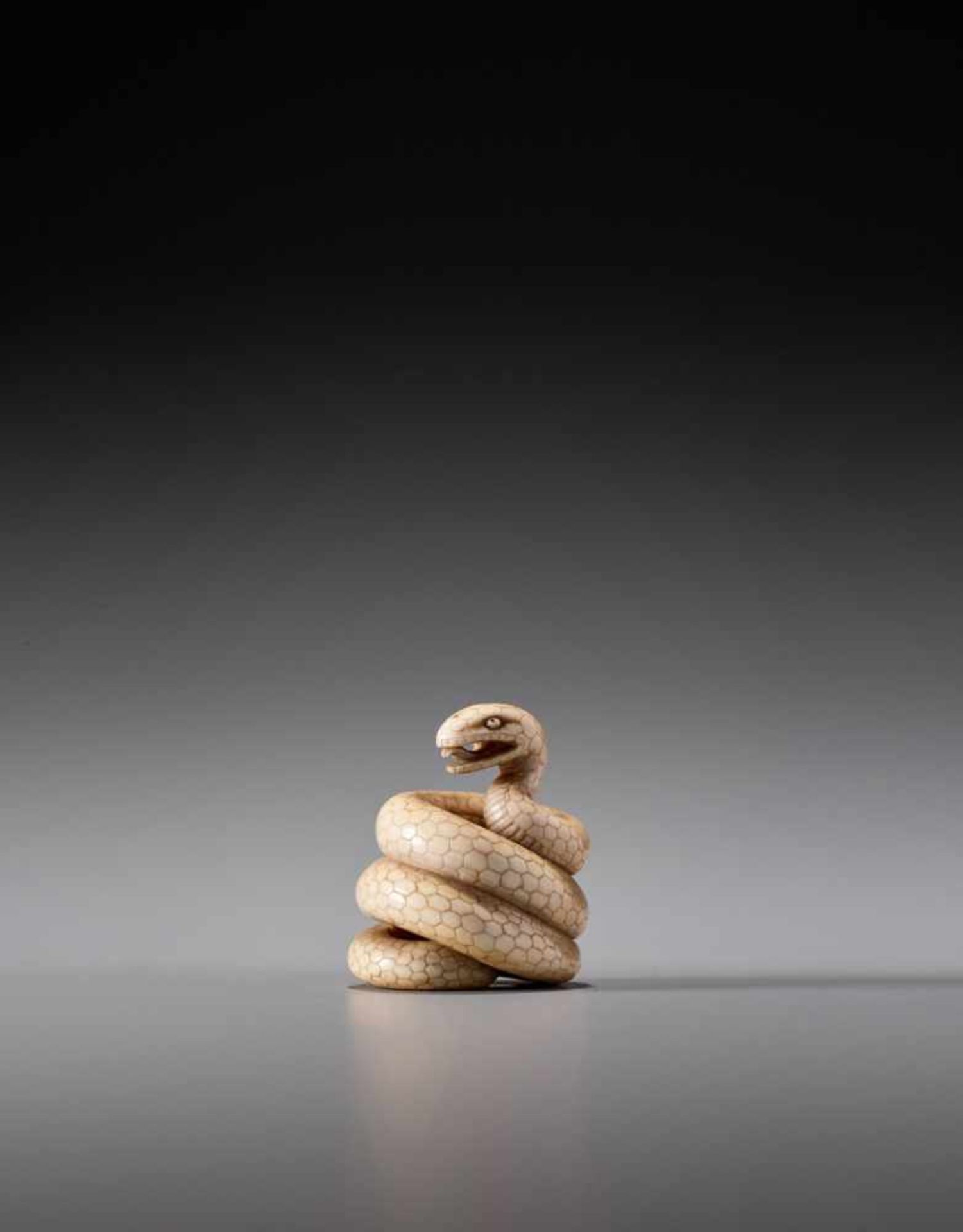 MASANAO: AN IVORY NETSUKE OF A COILED SNAKE