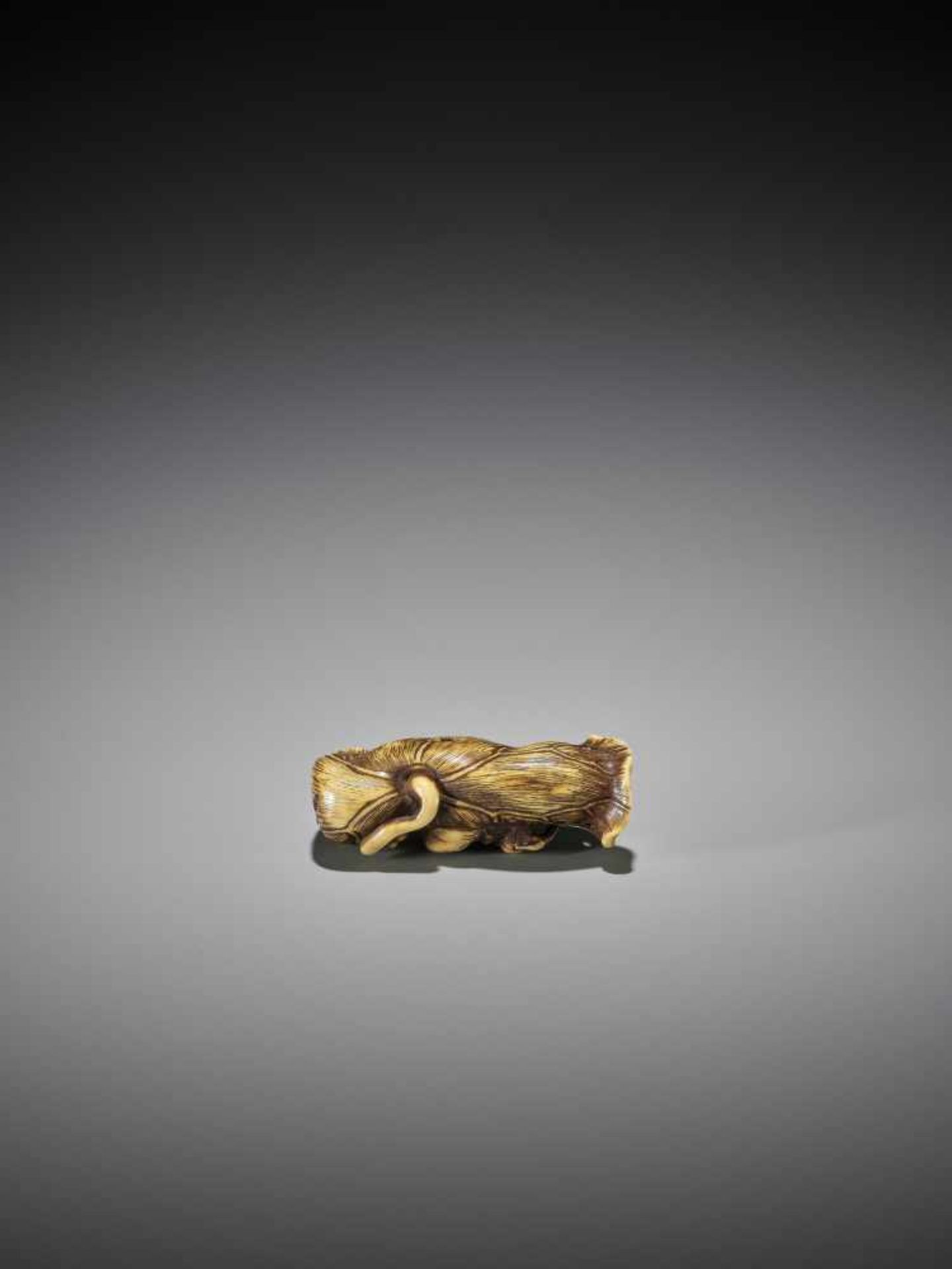 A RARE STAINED STAG ANTLER NETSUKE OF A GAKI ON LOTUS LEAF - Image 11 of 11