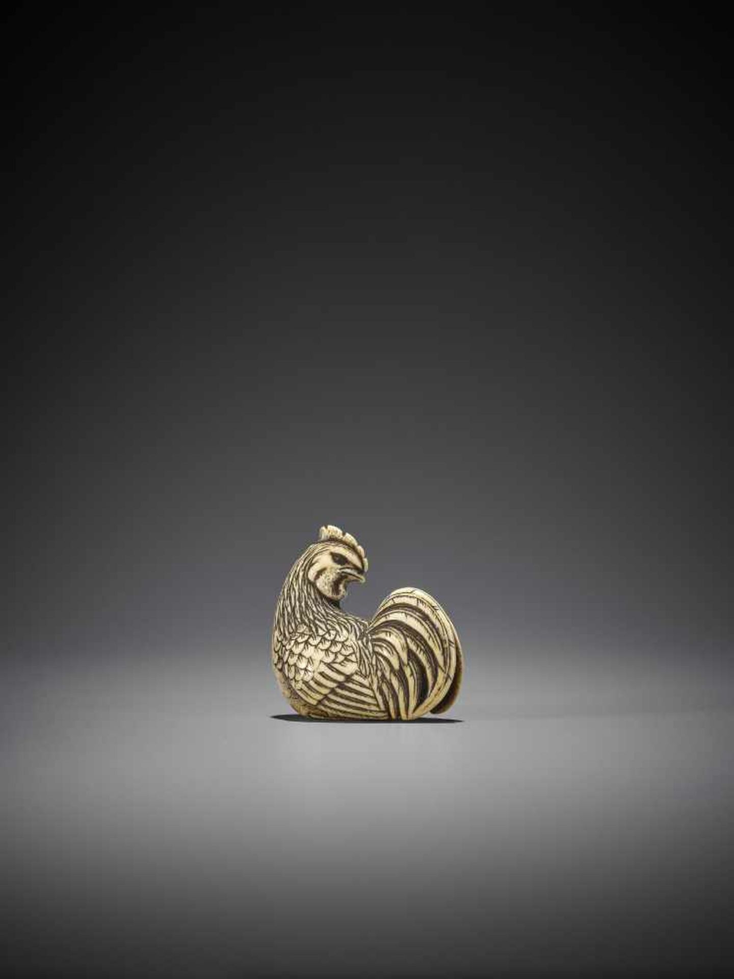 OKAKOTO: A FINE IVORY NETSUKE OF A COCKEREL - Image 4 of 10