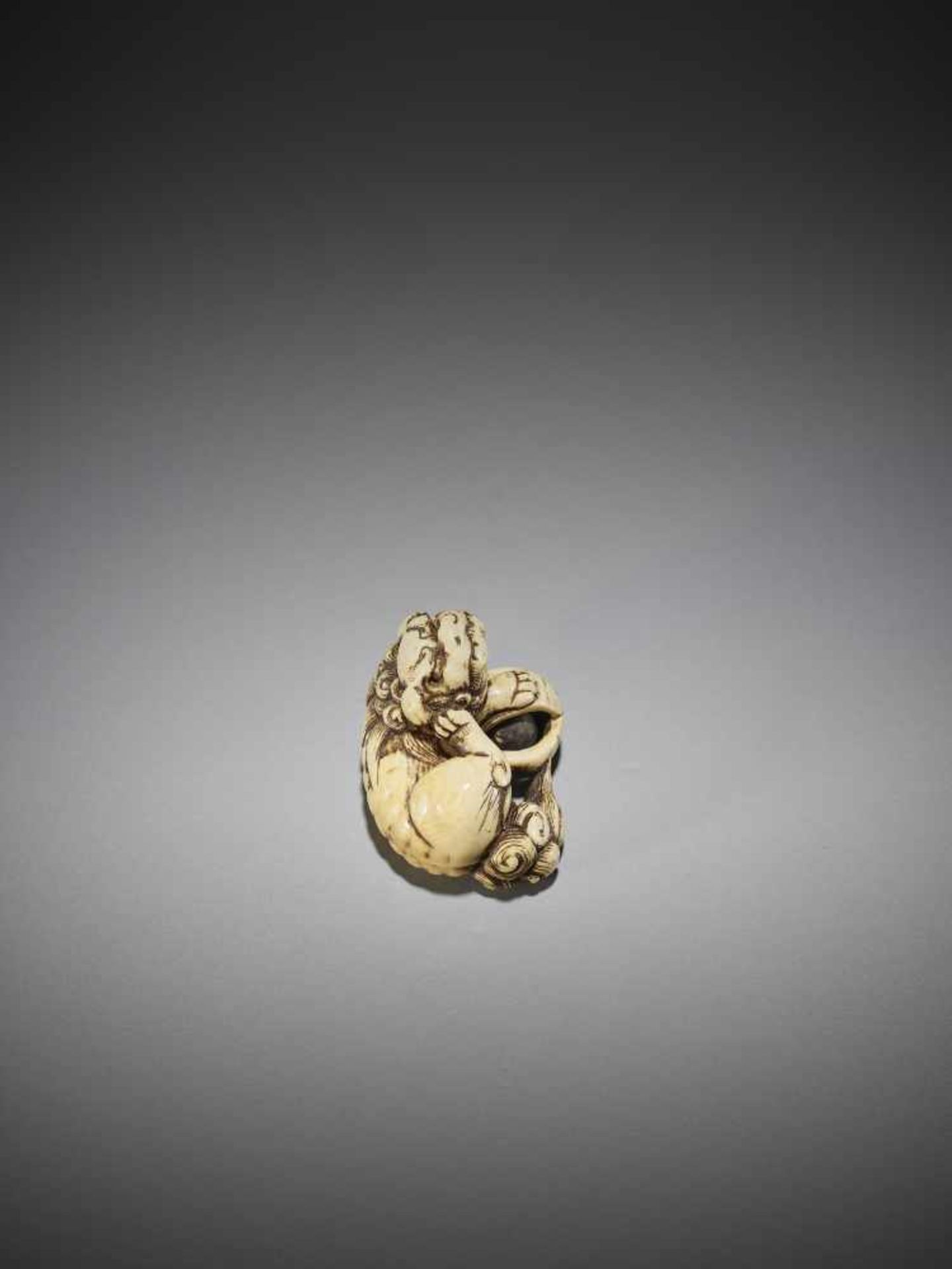 AN IVORY NETSUKE OF A SHISHI WITH BALL - Image 5 of 9