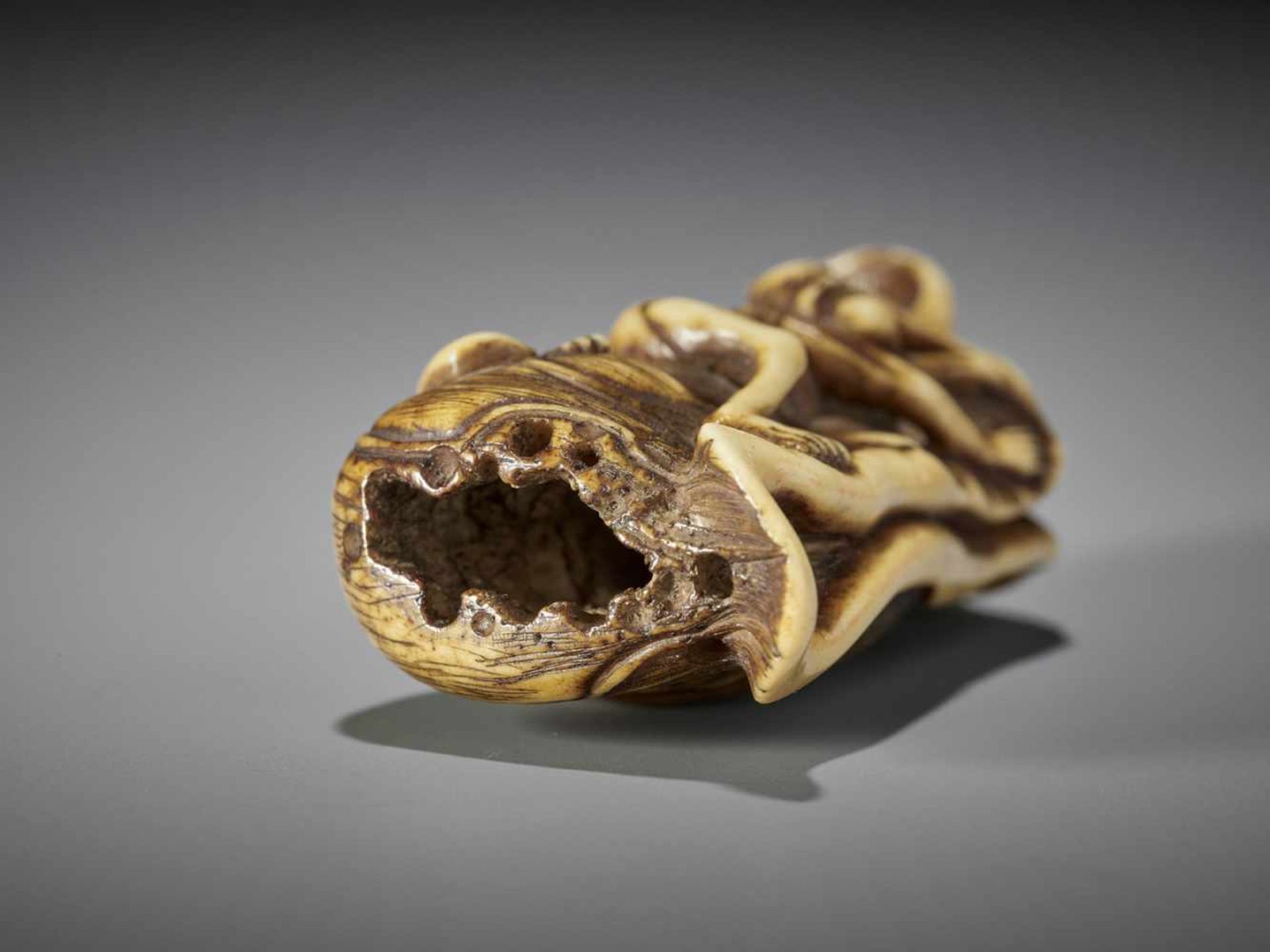 A RARE STAINED STAG ANTLER NETSUKE OF A GAKI ON LOTUS LEAF - Image 9 of 11