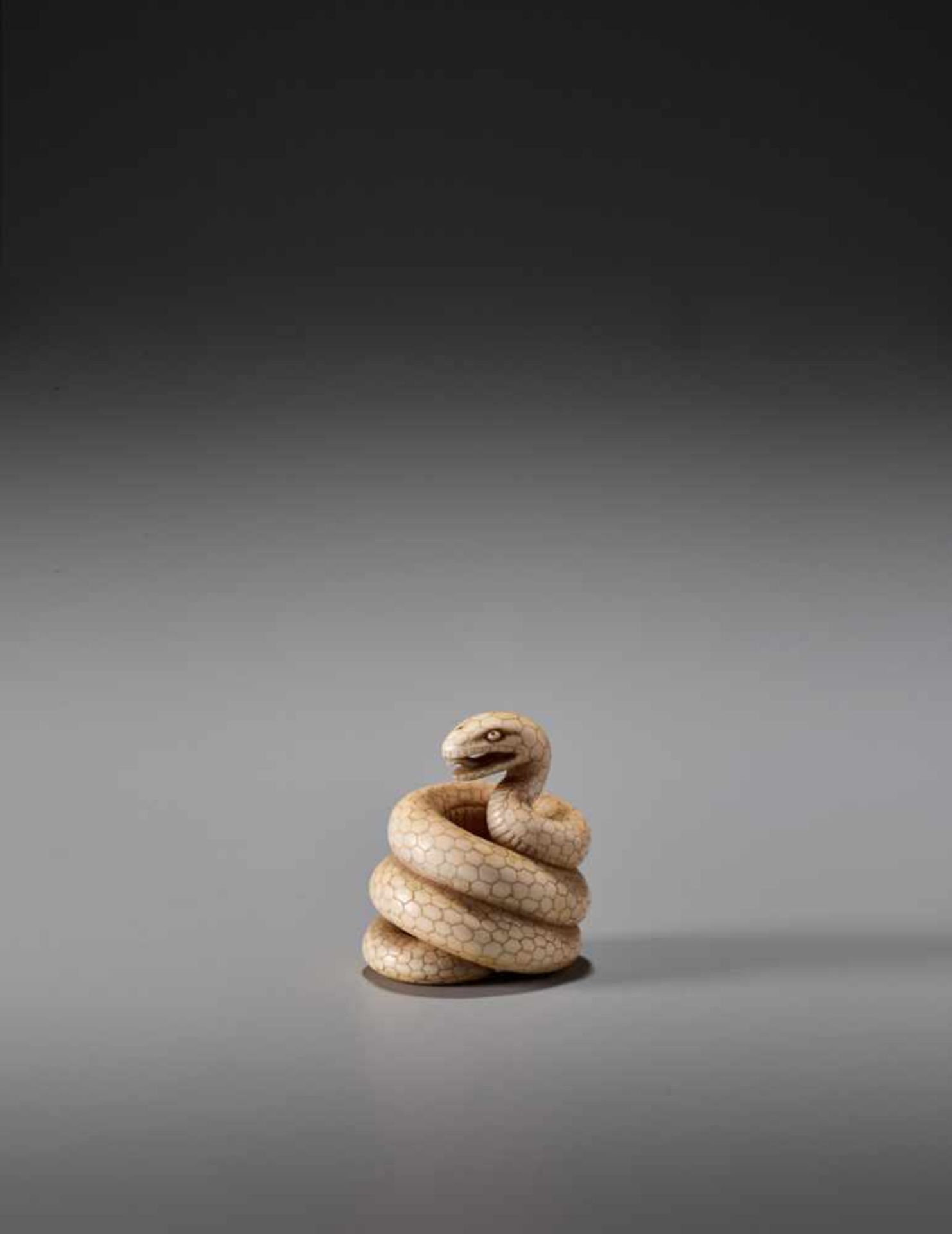 MASANAO: AN IVORY NETSUKE OF A COILED SNAKE - Image 6 of 10