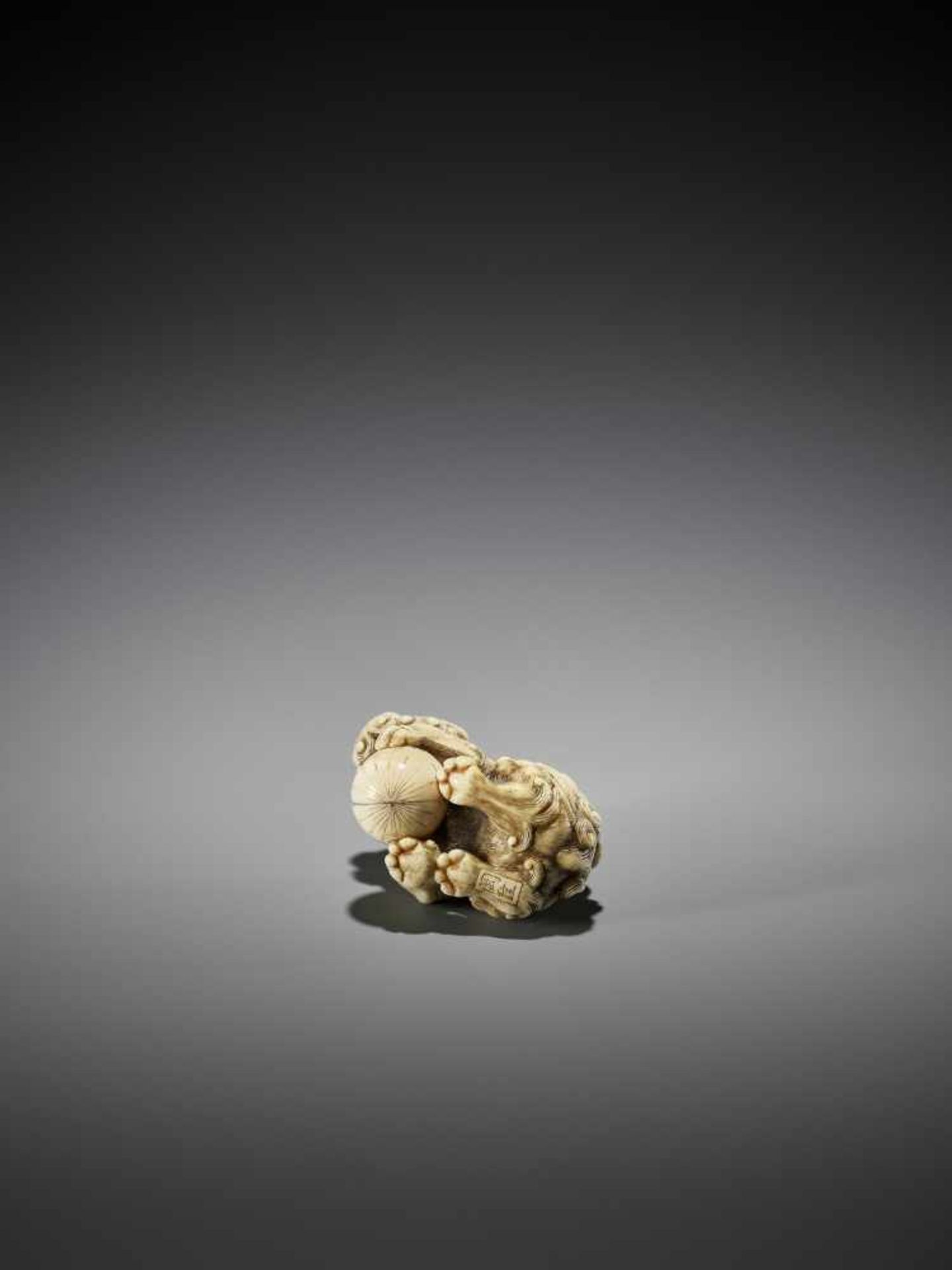 OKATORI: AN EXCELLENT IVORY NETSUKE OF A SHISHI WITH BALL - Image 4 of 13