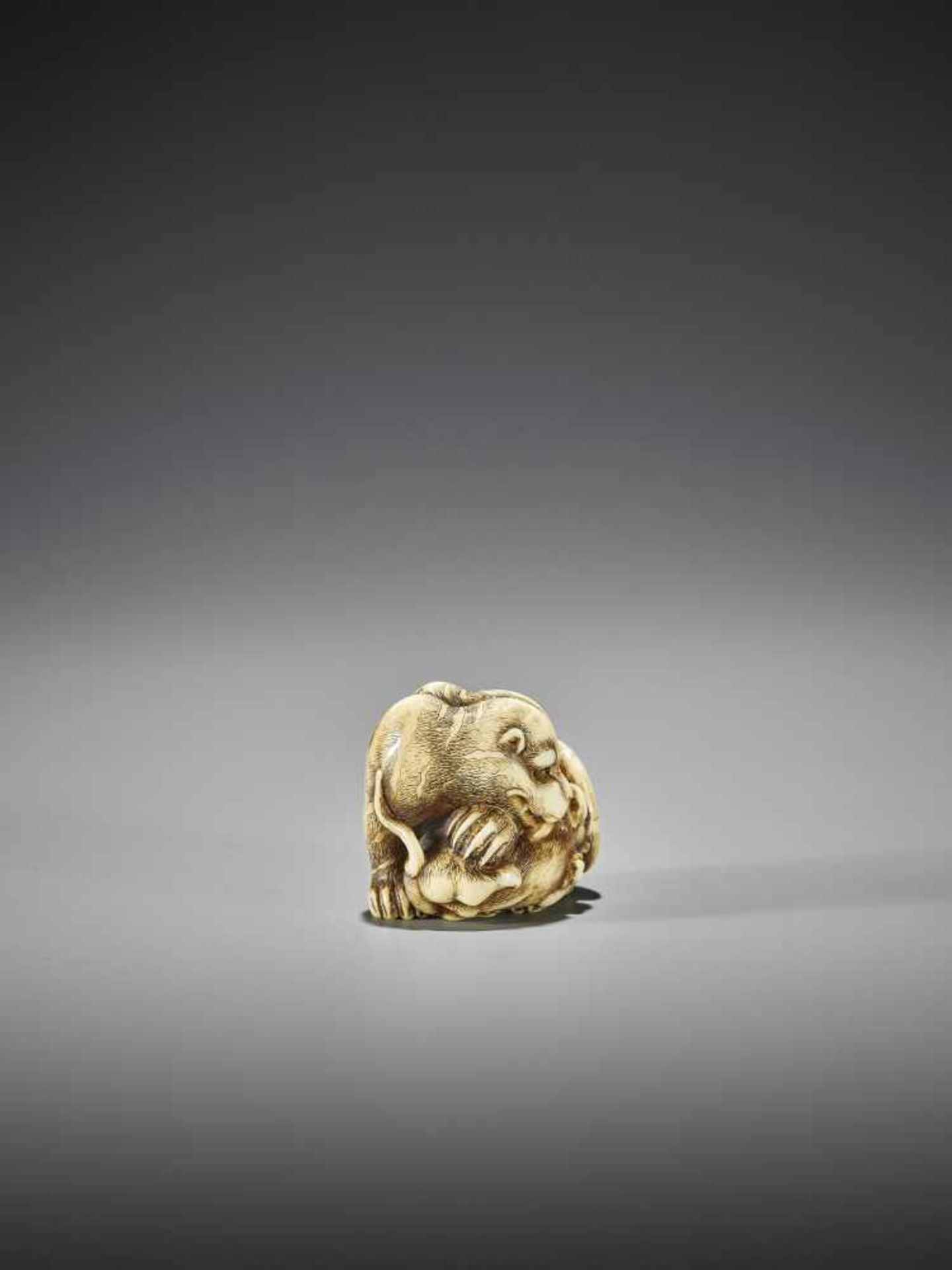 UNSHO HAKURYU I: AN EXCEPTIONAL IVORY NETSUKE OF A TIGER WITH CUB - Image 7 of 10