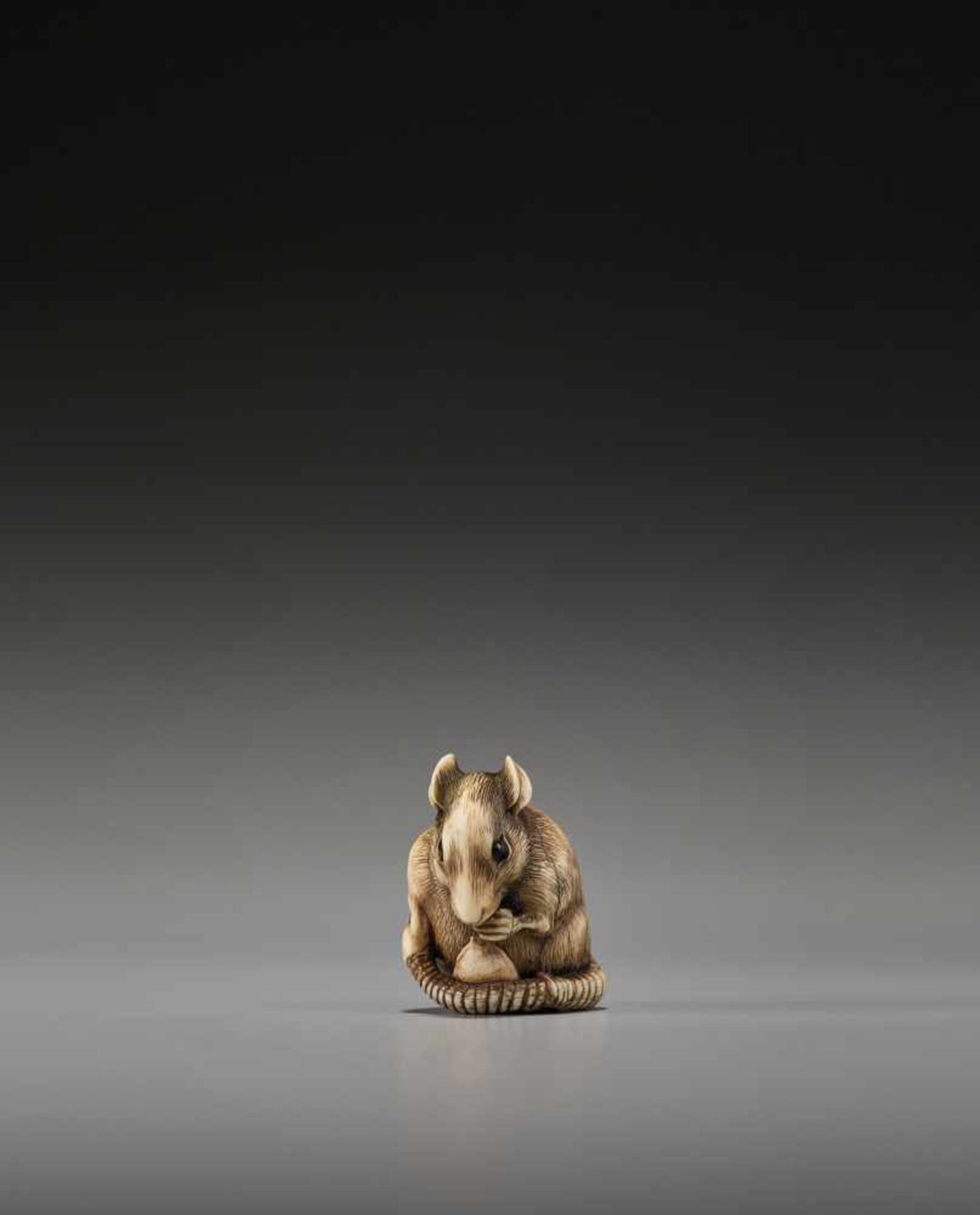 A POWERFUL KYOTO SCHOOL IVORY NETSUKE OF A RAT WITH A BEAN POD - Image 3 of 11