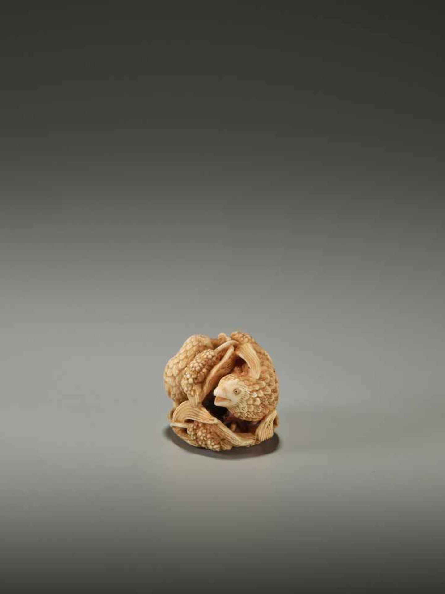 KAGETOSHI: AN IVORY NETSUKE OF TWO QUAILS - Bild 4 aus 12