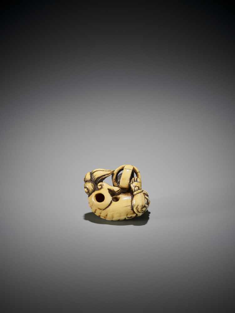 AN IVORY NETSUKE OF A SHISHI WITH BALL - Image 9 of 9