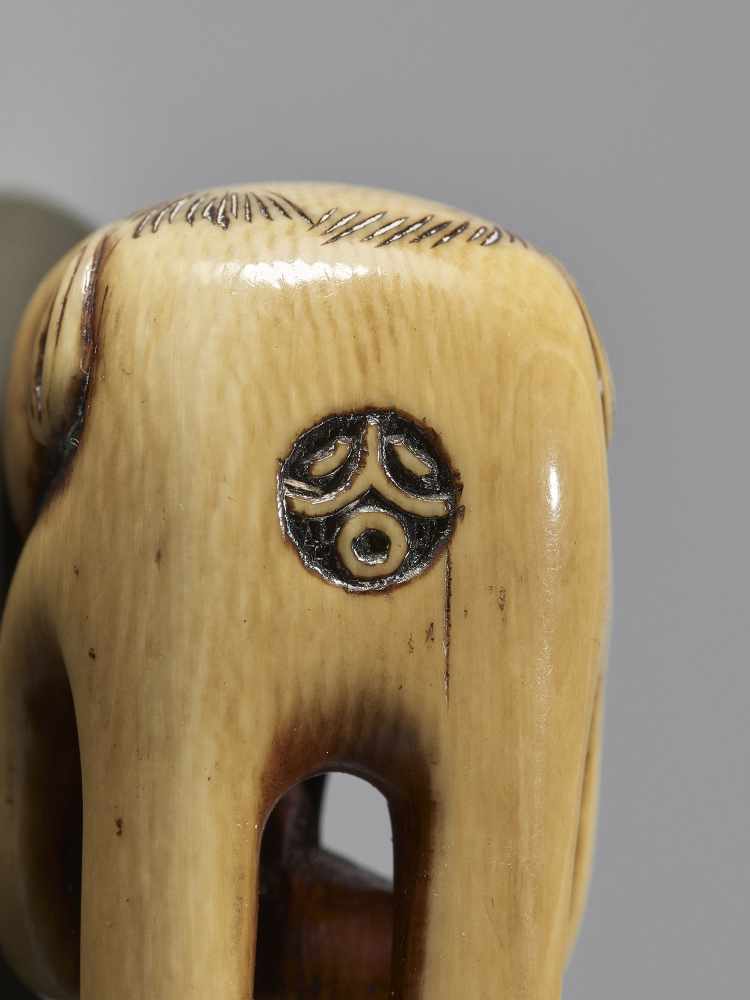 KOKU: AN UNUSUAL IVORY OBI-HASAMI NETSUKE OF A KAPPA - Image 6 of 7