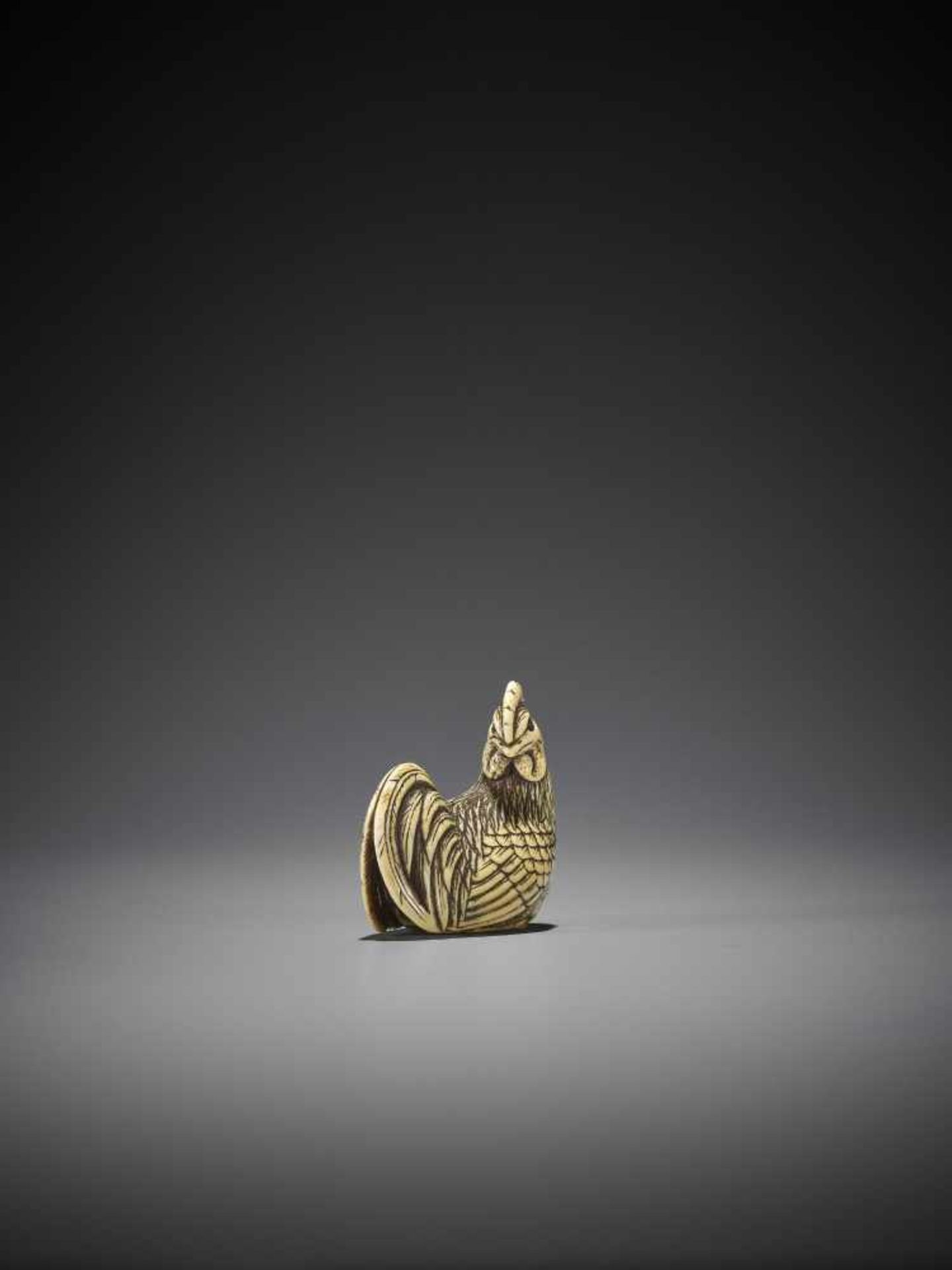 OKAKOTO: A FINE IVORY NETSUKE OF A COCKEREL - Image 6 of 10