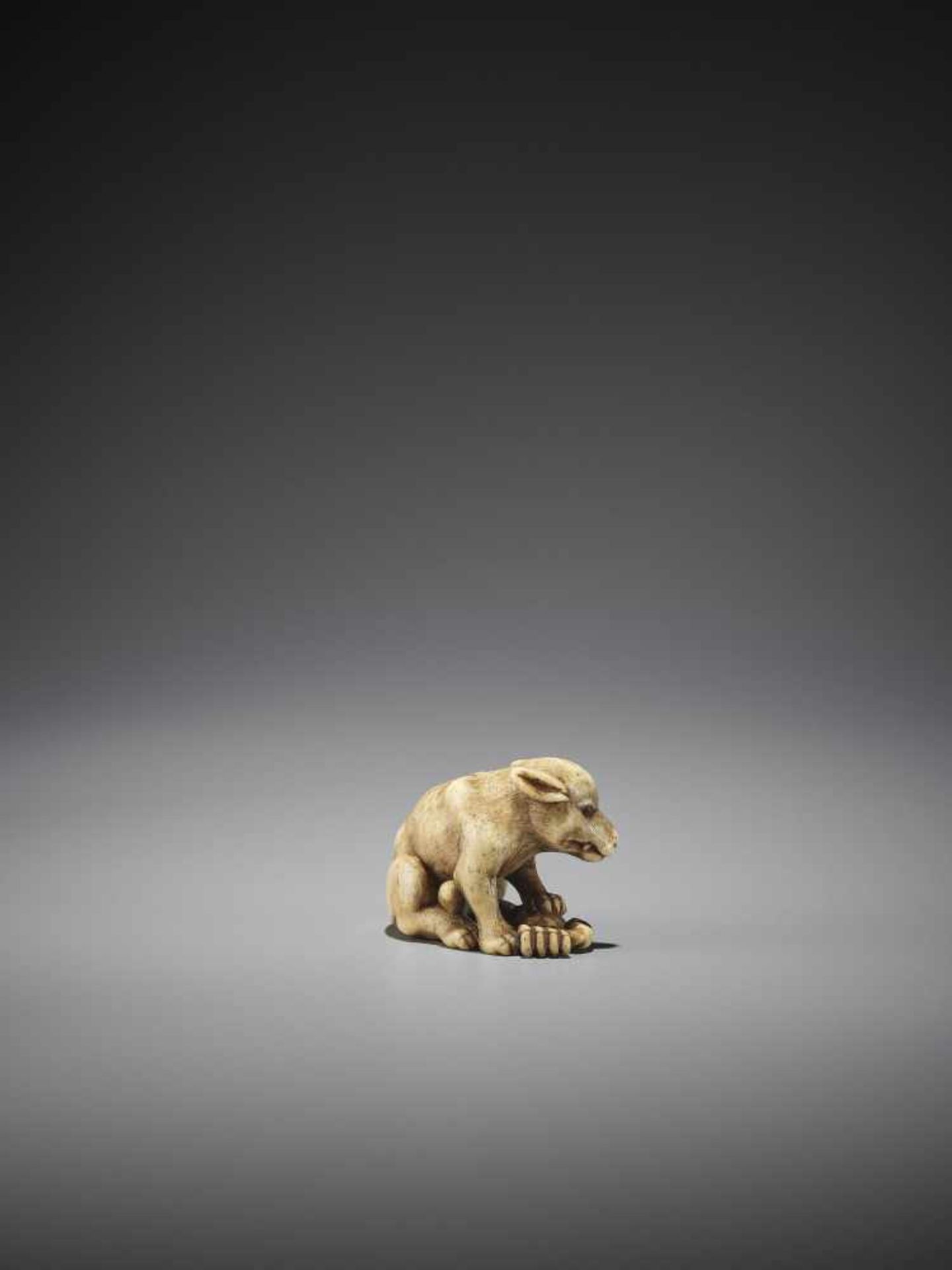 AN EXCELLENT AND RARE BONE NETSUKE OF A WOLF WITH CRAB - Image 9 of 13