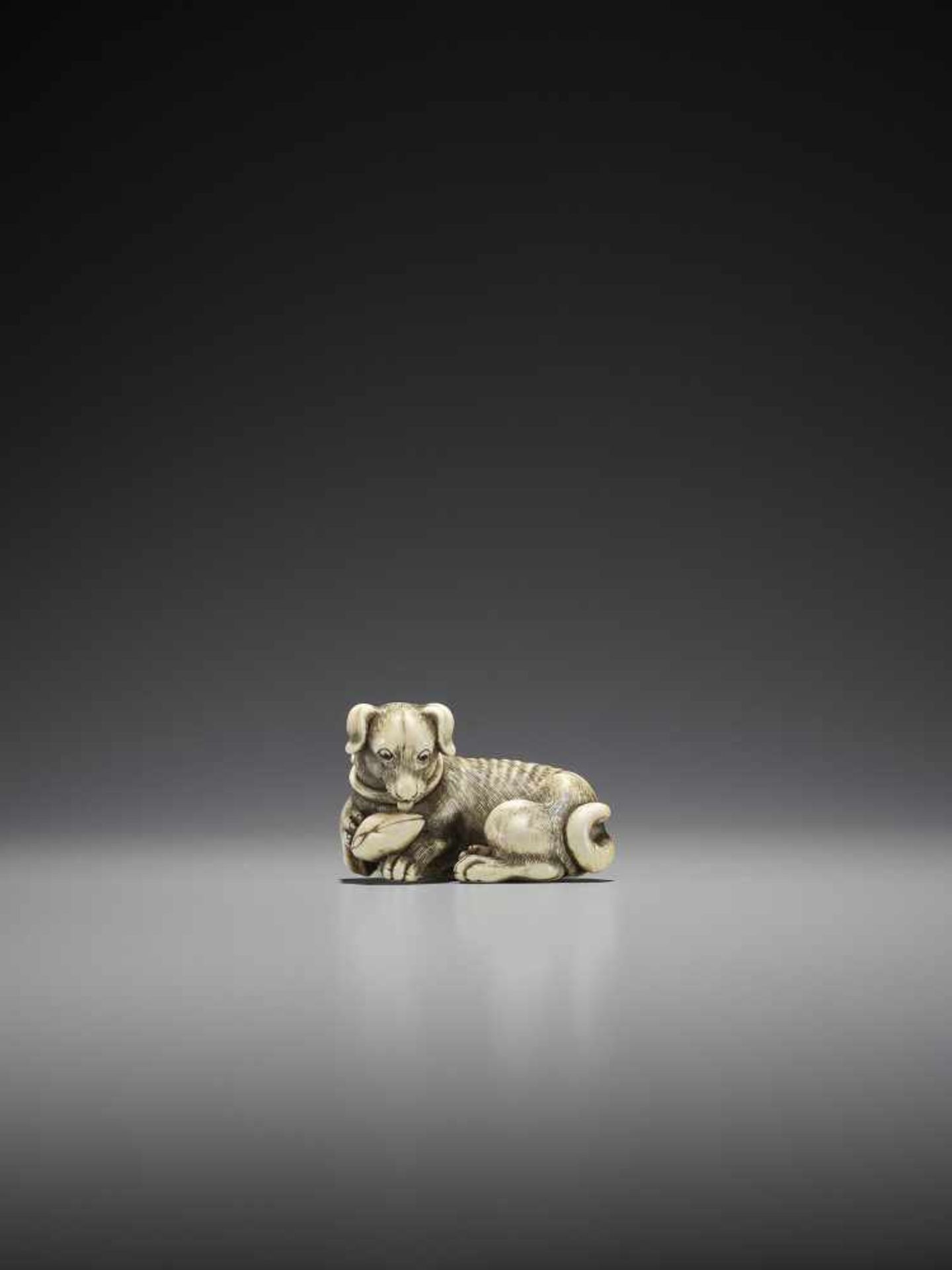 TOMOTADA: A SUPERB IVORY NETSUKE OF A DOG WITH HAMAGURI CLAM - Bild 5 aus 10