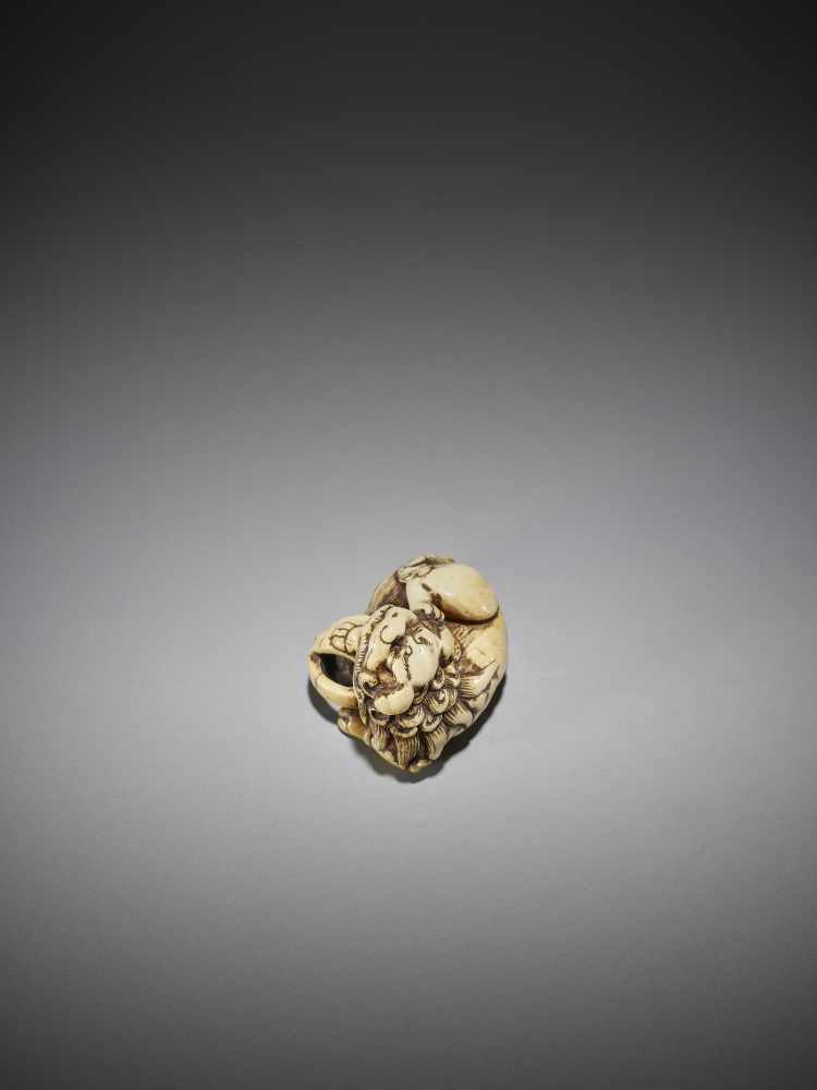 AN IVORY NETSUKE OF A SHISHI WITH BALL - Image 7 of 9