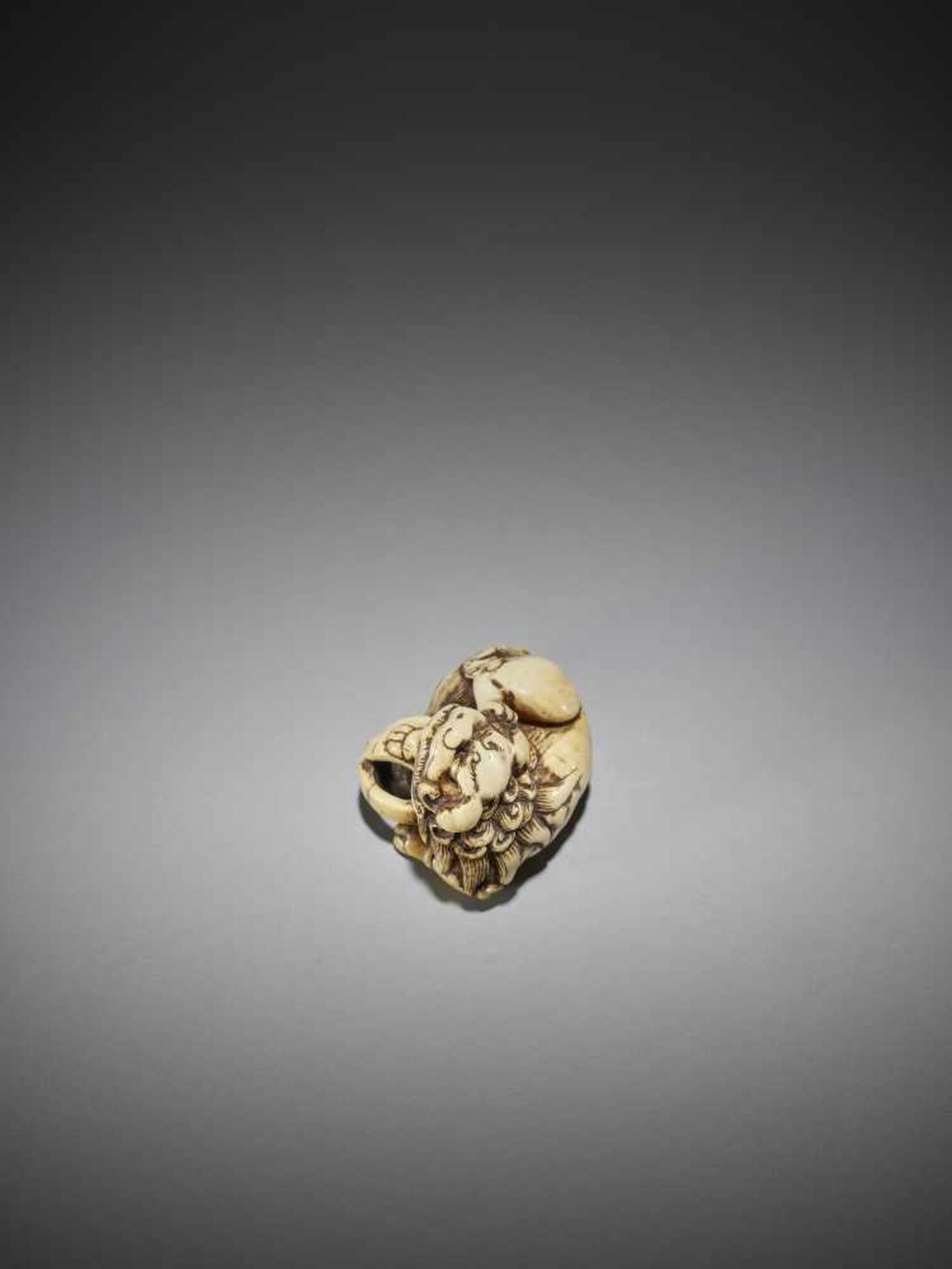 AN IVORY NETSUKE OF A SHISHI WITH BALL - Bild 7 aus 9