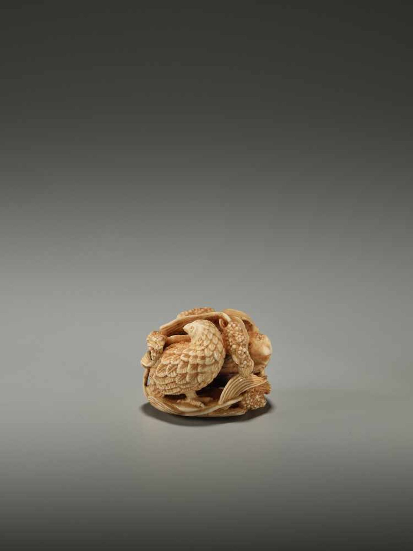 KAGETOSHI: AN IVORY NETSUKE OF TWO QUAILS - Image 3 of 12