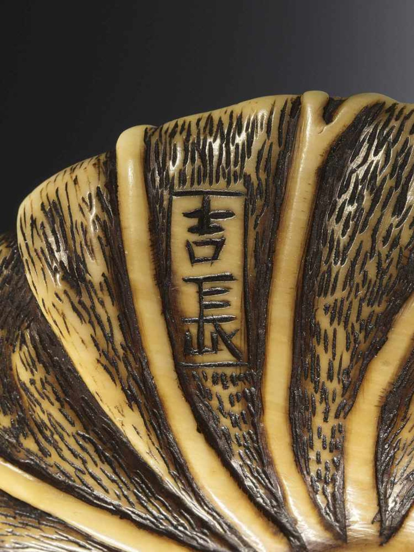 YOSHINAGA: A SUPERB IVORY NETSUKE OF A FROG IN LOTUS LEAF - Bild 9 aus 10