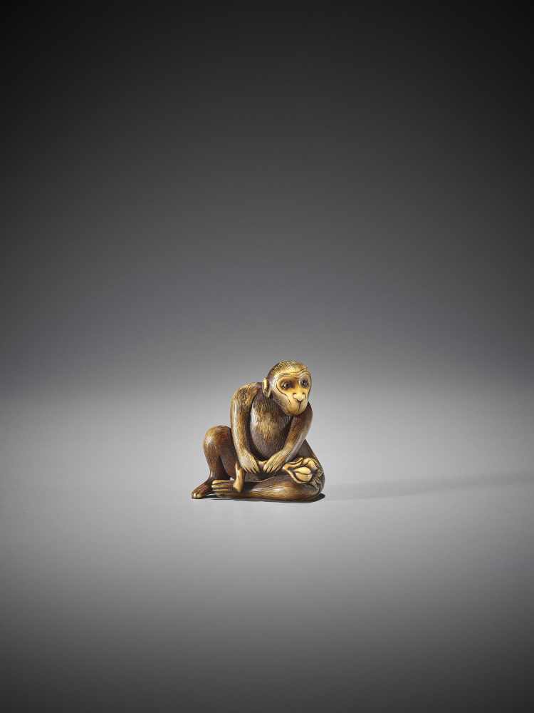 MITSUHARU: AN IVORY NETSUKE OF A MONKEY