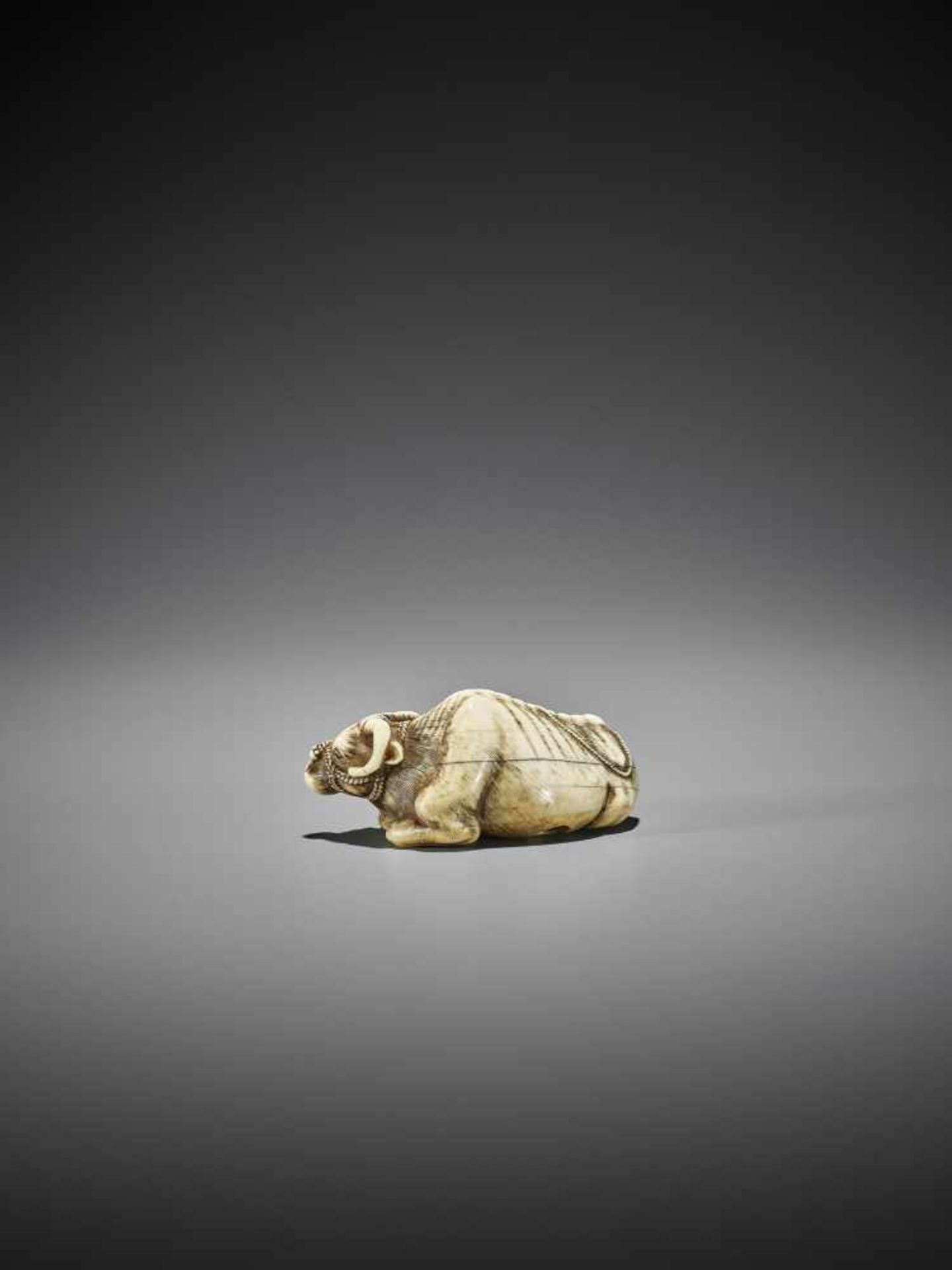 TOMOTADA: A GOOD IVORY NETSUKE OF A RECUMBENT COW WITH CALF - Bild 3 aus 11