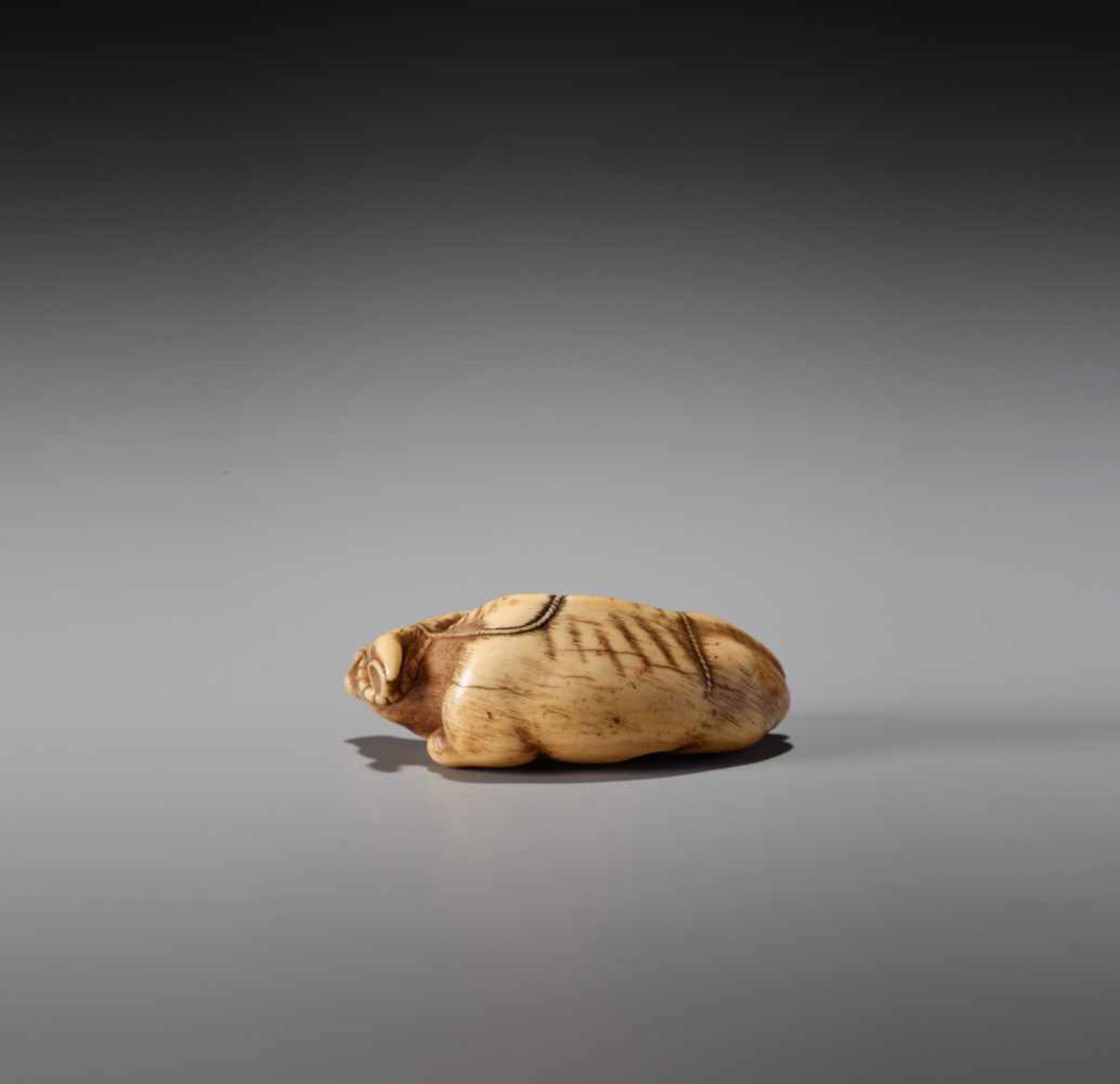 TOMOTADA: A POWERFUL IVORY NETSUKE OF A RECUMBENT OX - Bild 7 aus 9