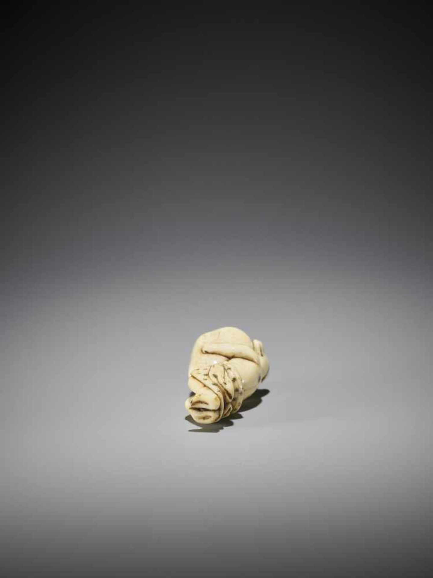 A LARGE AND AMUSING IVORY NETSUKE OF A TANUKI WITH HUGE SCROTUM - Bild 9 aus 9