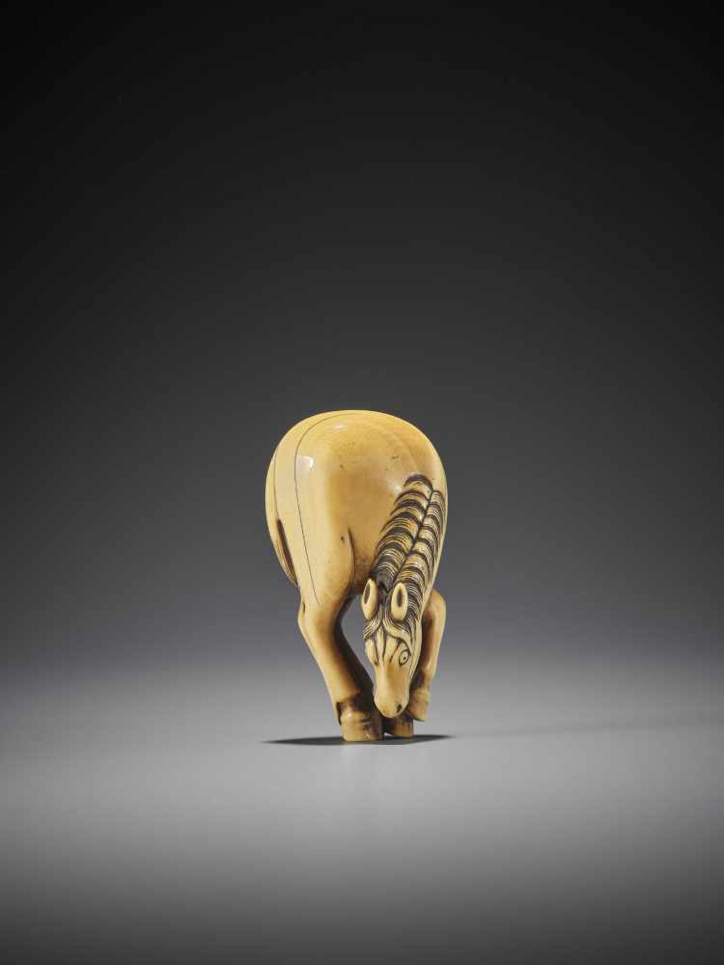 A FINE AND LARGE IVORY NETSUKE OF A GRAZING HORSE - Image 8 of 9