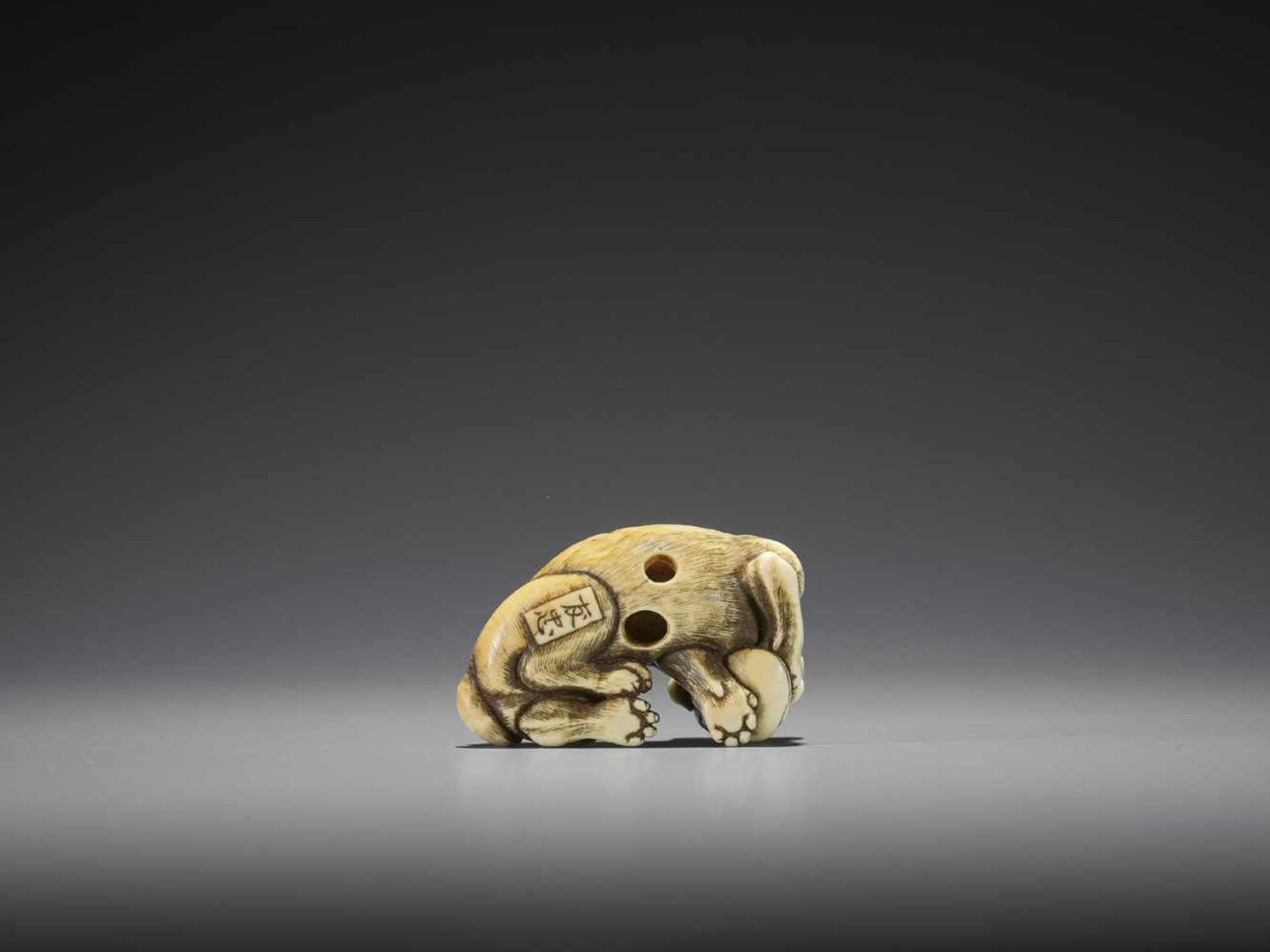 TOMOTADA: A SUPERB IVORY NETSUKE OF A DOG WITH HAMAGURI CLAM - Image 9 of 10