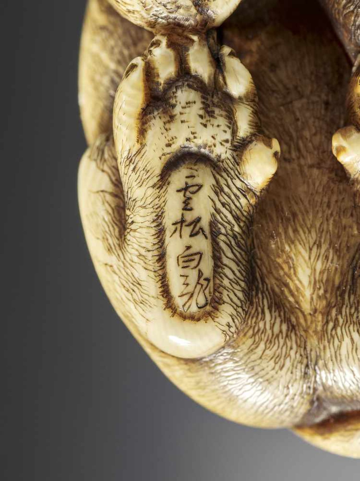 UNSHO HAKURYU I: AN EXCEPTIONAL IVORY NETSUKE OF A TIGER WITH CUB - Image 10 of 10