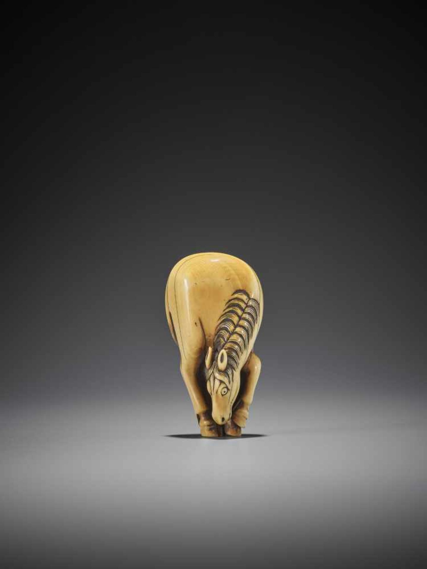A FINE AND LARGE IVORY NETSUKE OF A GRAZING HORSE