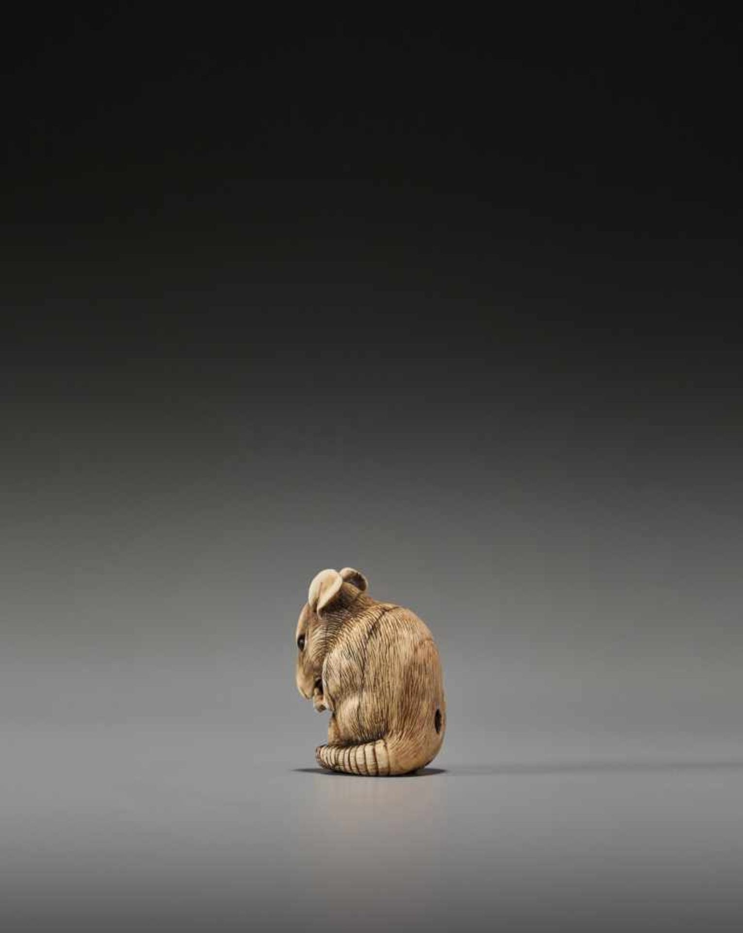 A POWERFUL KYOTO SCHOOL IVORY NETSUKE OF A RAT WITH A BEAN POD - Image 7 of 11