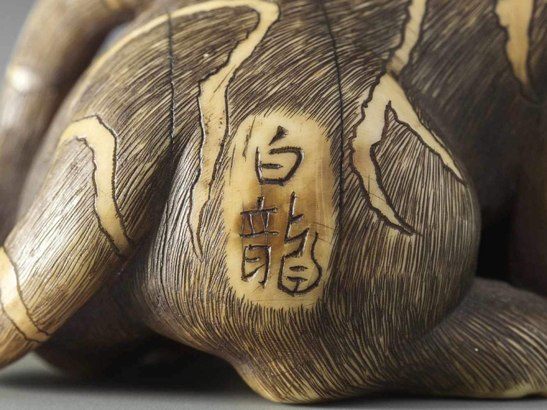 UNSHO HAKURYU II: A SUPERB IVORY NETSUKE OF A TIGER WITH CUB - Bild 10 aus 12