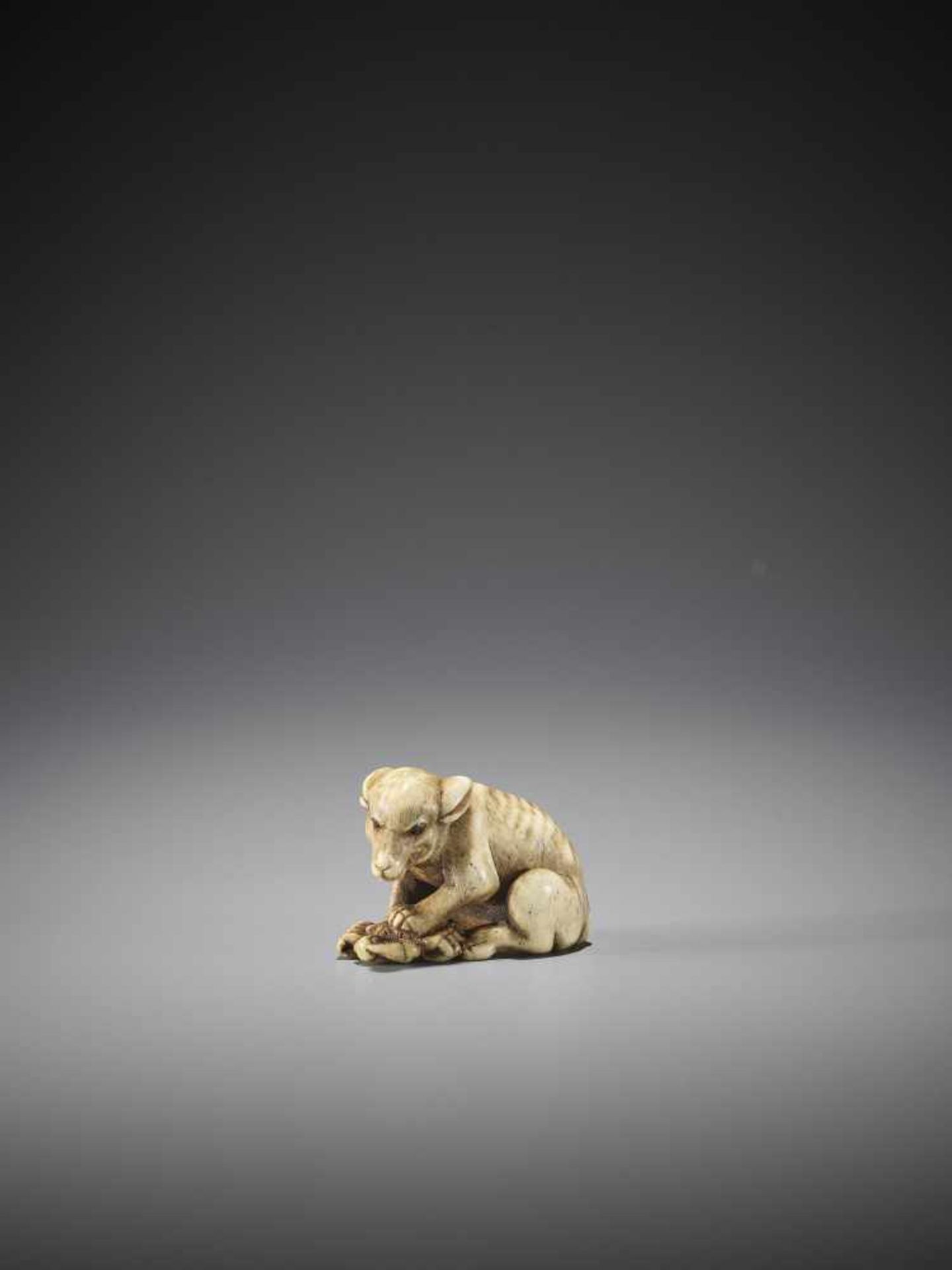 AN EXCELLENT AND RARE BONE NETSUKE OF A WOLF WITH CRAB