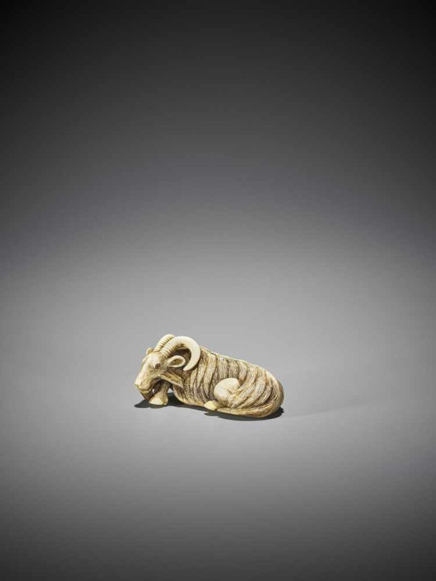 MASANAO (ATTR.): A SUPERB IVORY NETSUKE OF A RECUMBENT GOAT - Bild 5 aus 13