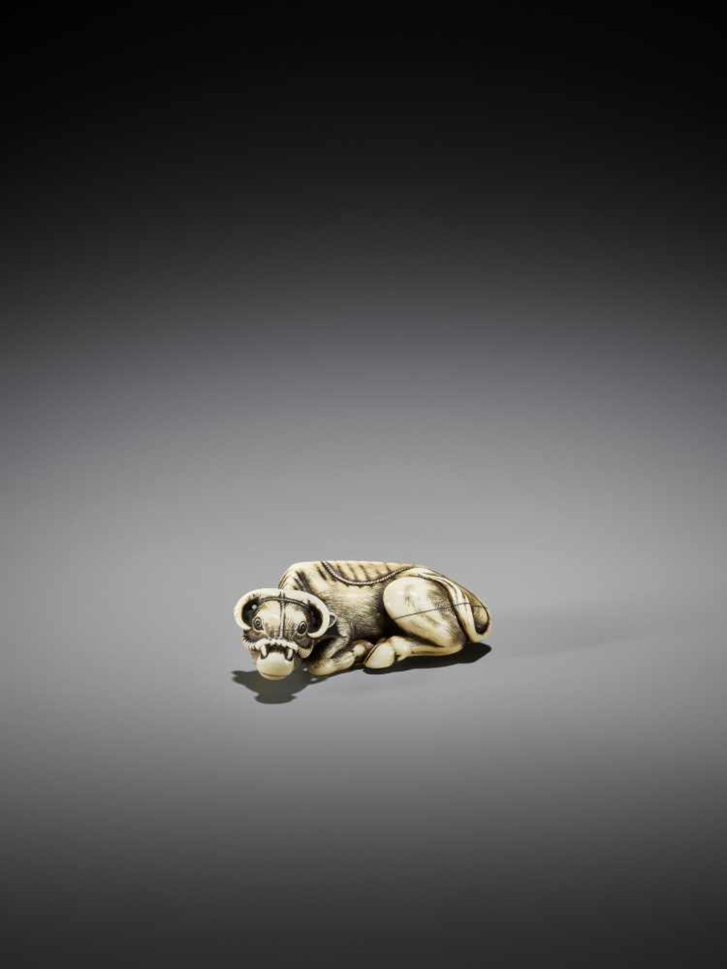 TOMOTADA: AN IVORY NETSUKE OF A RECUMBENT OX - Image 9 of 10