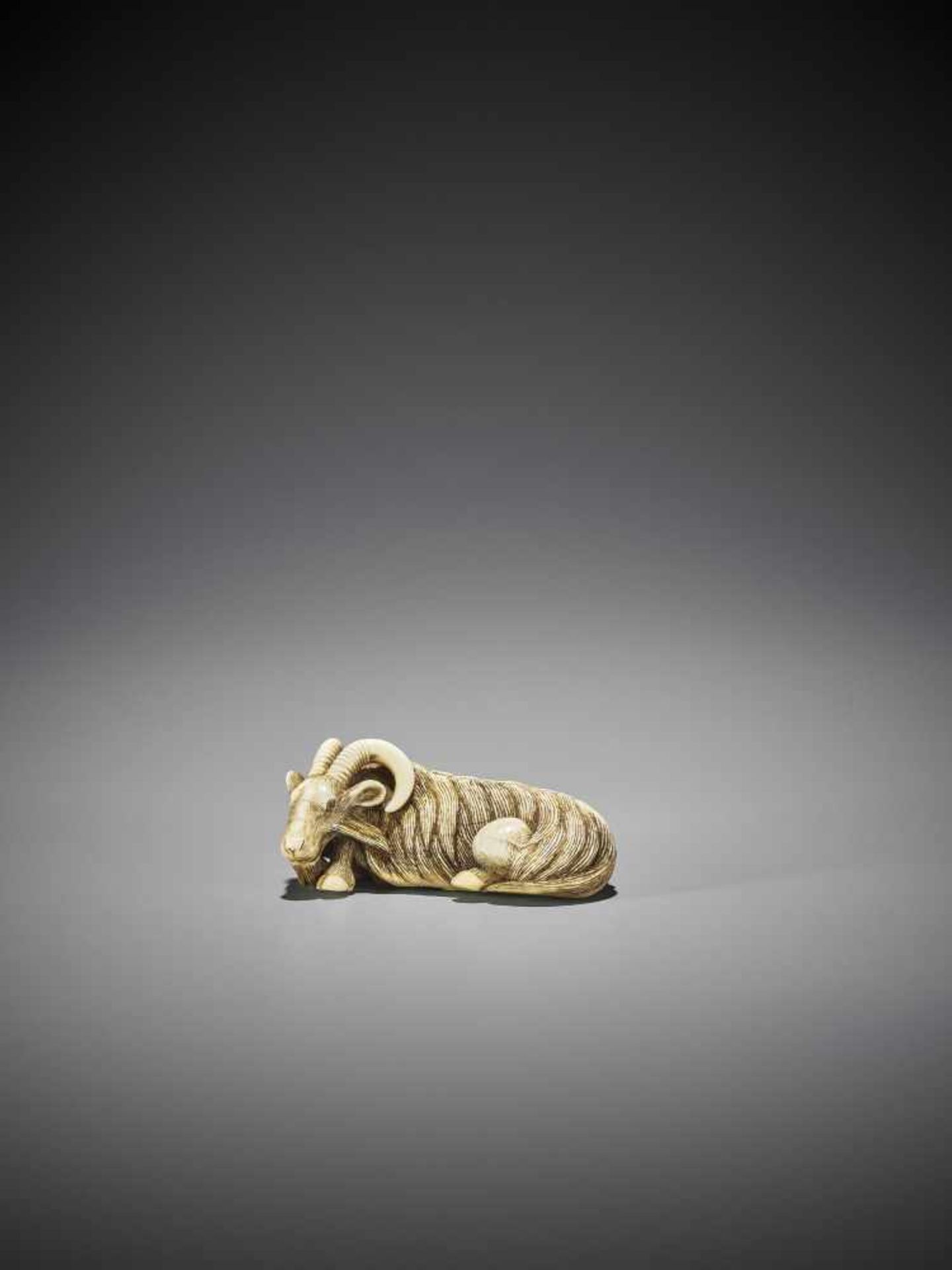 MASANAO (ATTR.): A SUPERB IVORY NETSUKE OF A RECUMBENT GOAT - Image 4 of 13