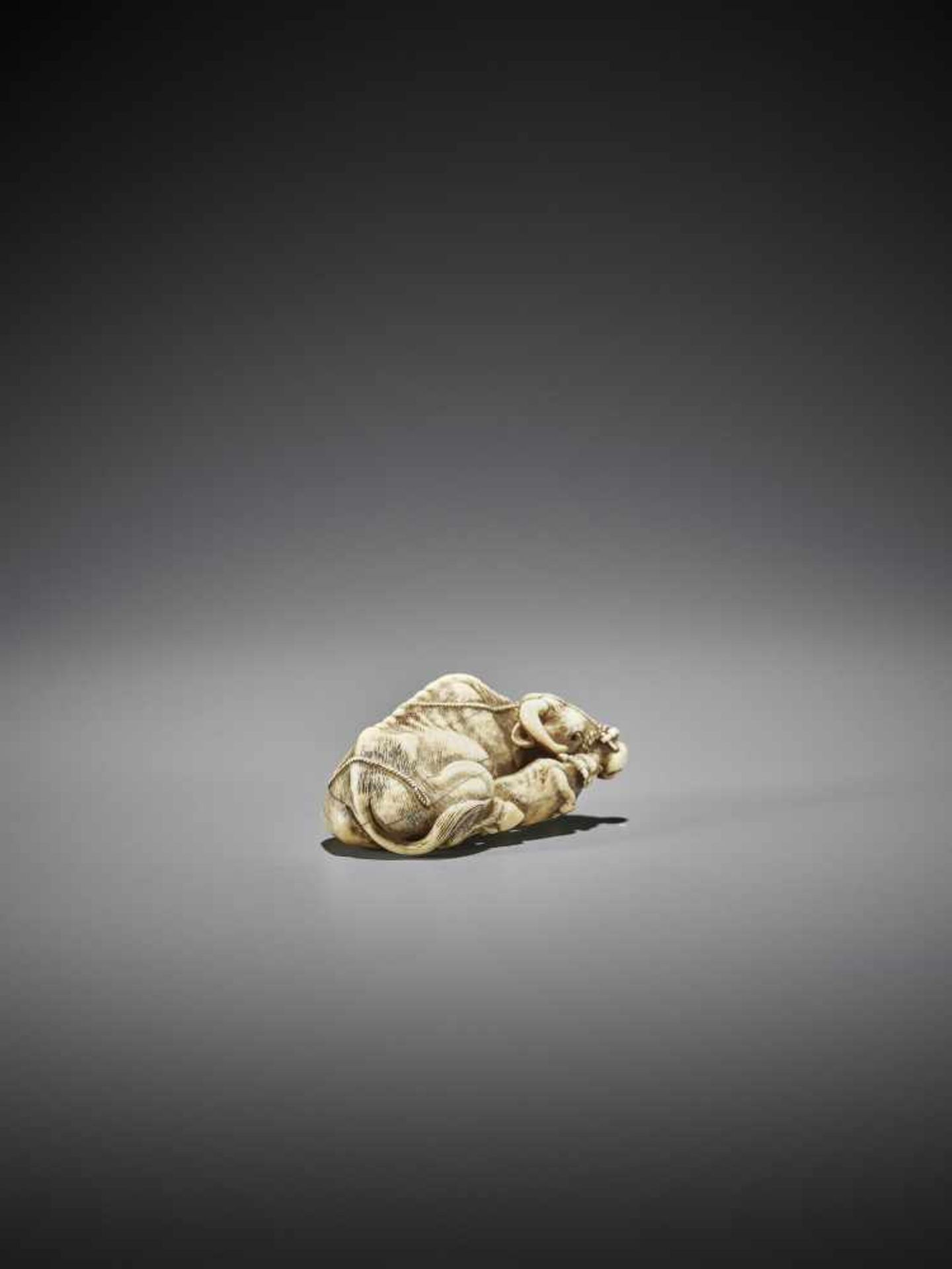 TOMOTADA: A GOOD IVORY NETSUKE OF A RECUMBENT COW WITH CALF - Image 10 of 11