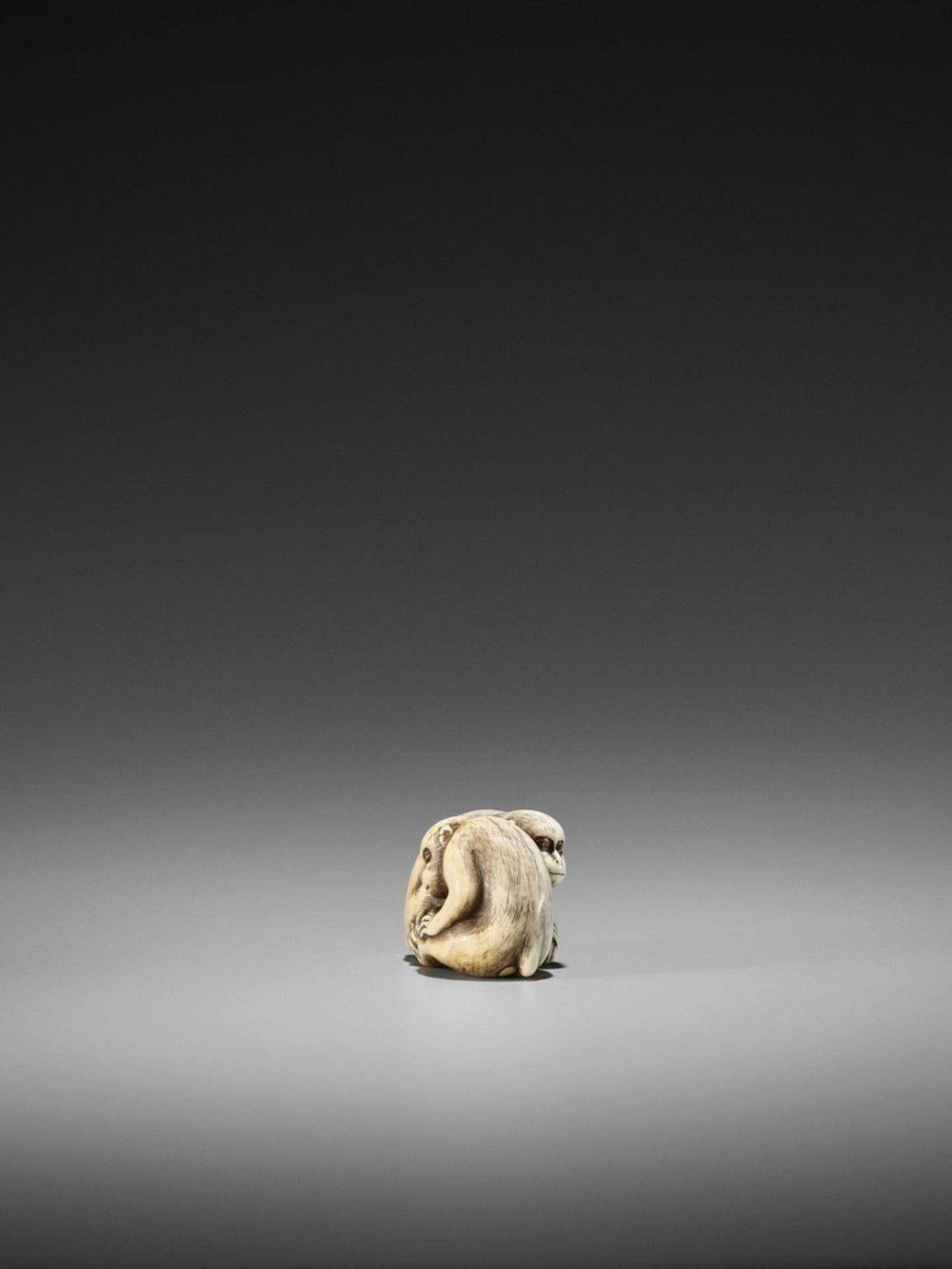 OKATORI: AN EXCELLENT IVORY NETSUKE OF TWO MONKEYS By Okatori, signed Okatori 岡隹Japan, Kyoto, late - Bild 6 aus 11